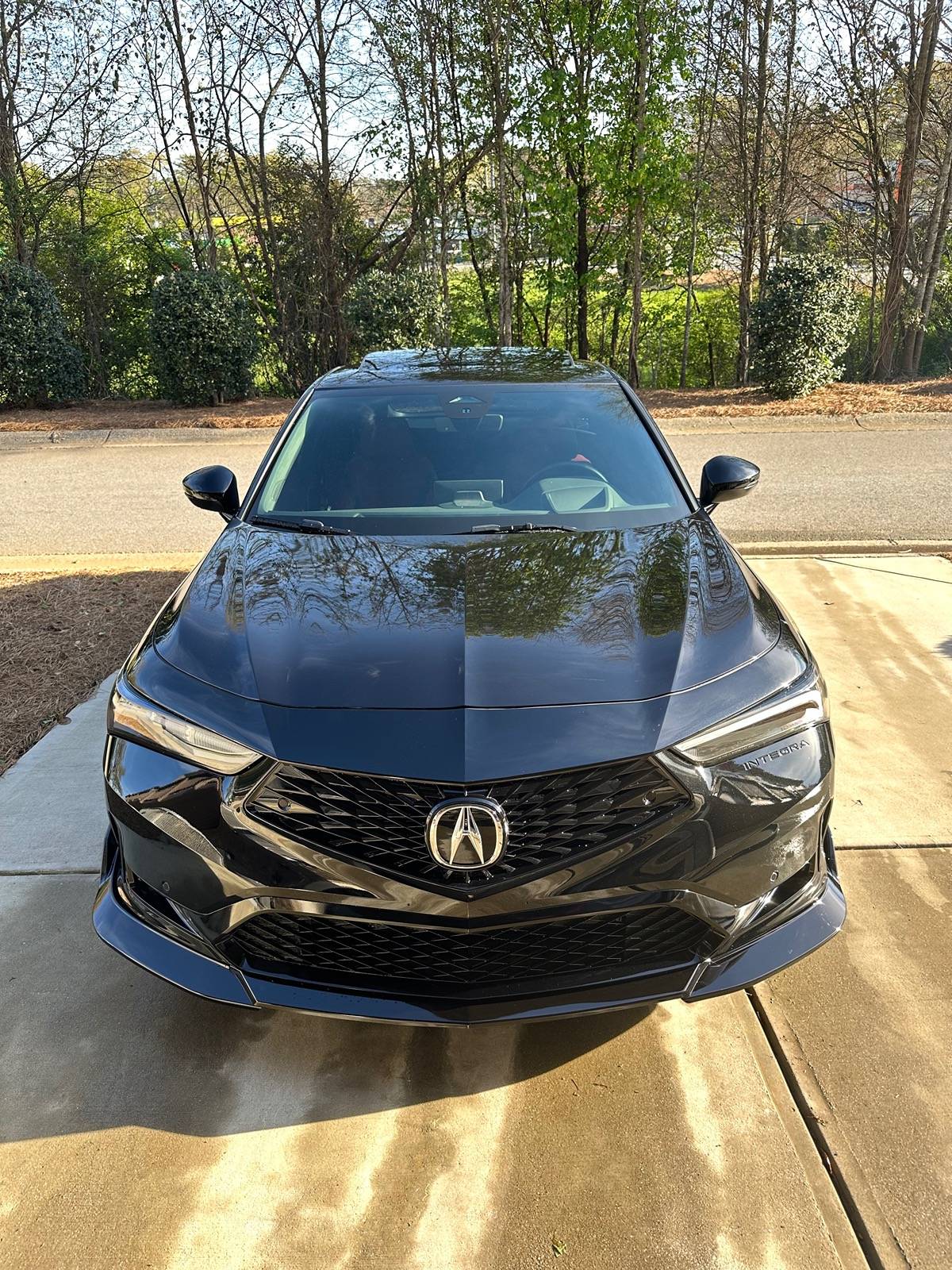 Acura Integra installed the W-Power Front Lip IMG_1098
