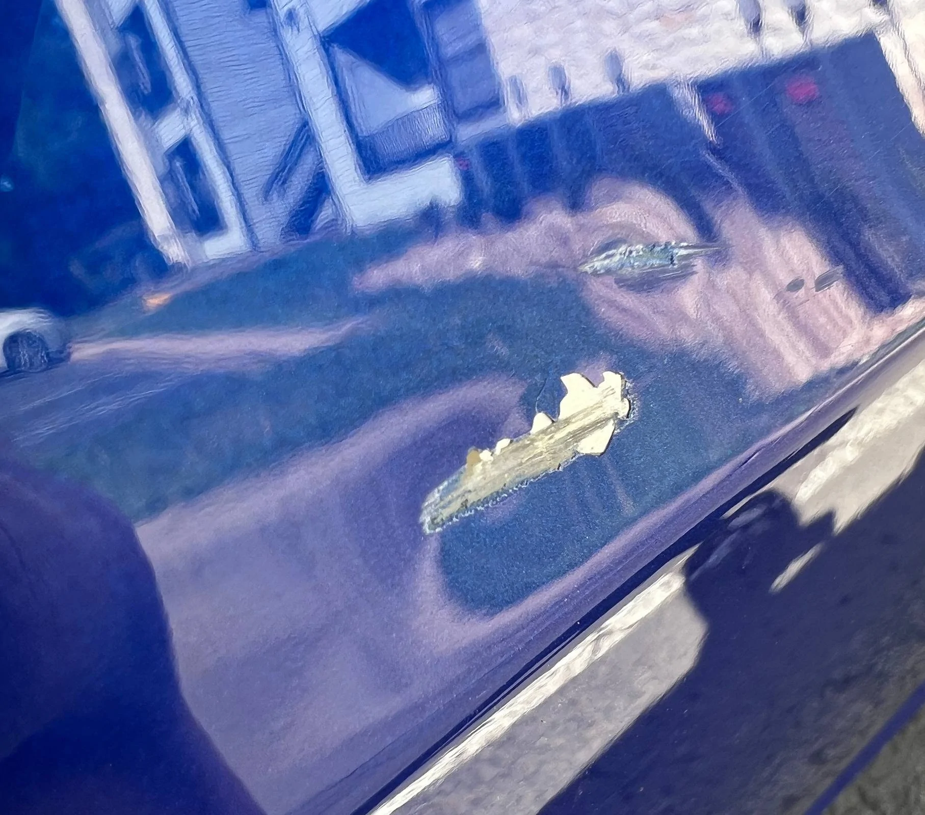 Acura Integra Highway debris caused driver door paint damage, advice wanted sid