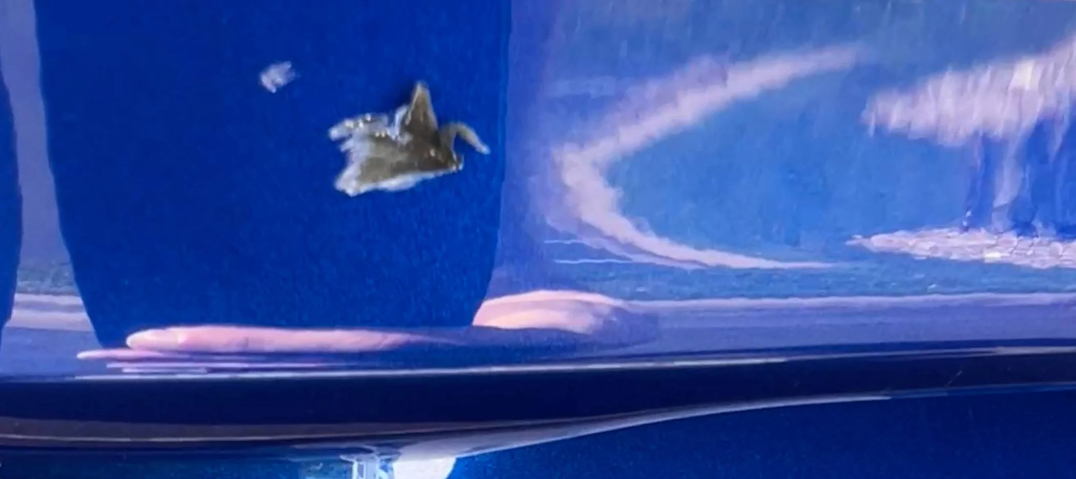 Acura Integra Highway debris caused driver door paint damage, advice wanted door0