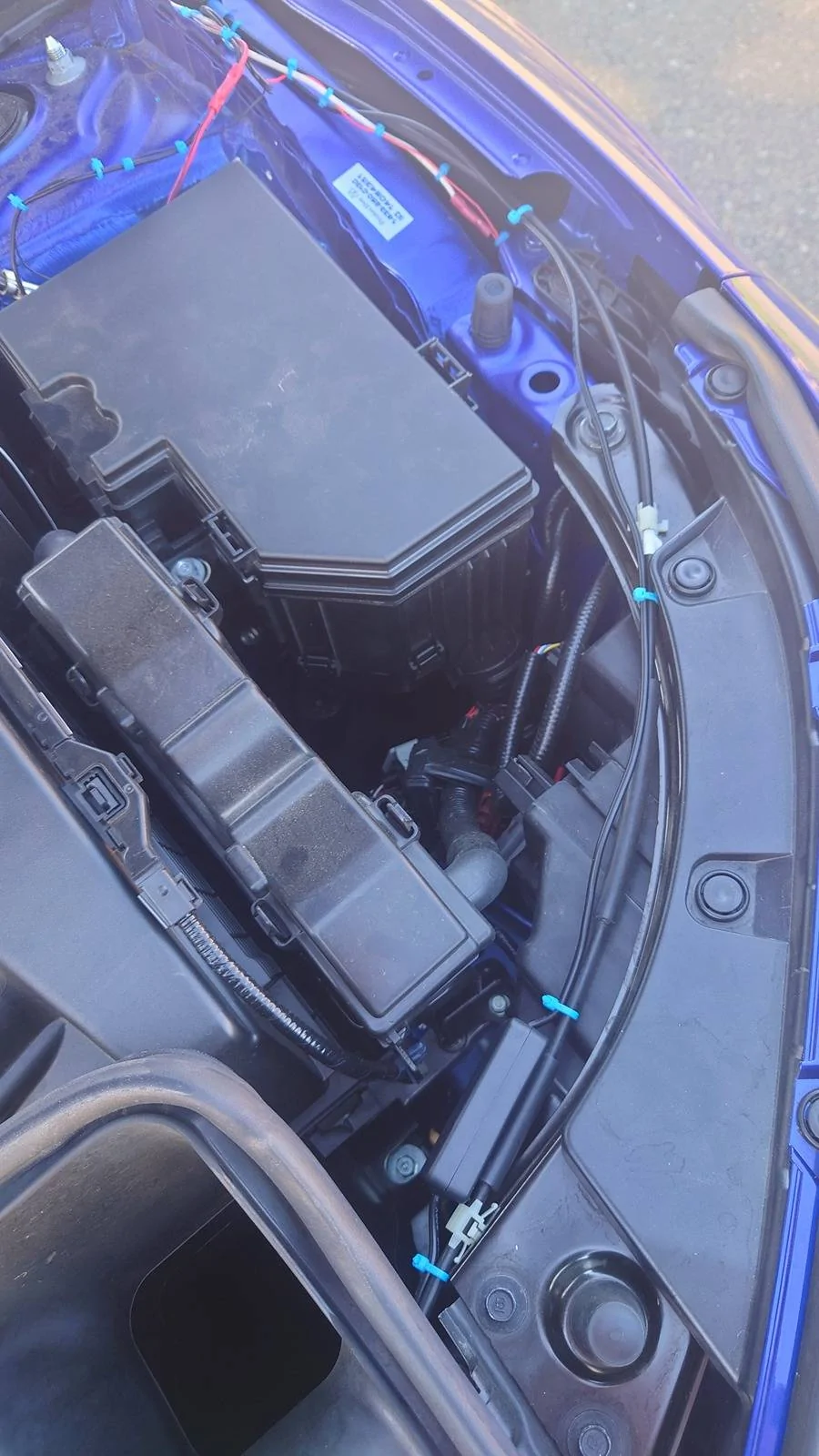 Acura Integra To underglow or not to underglow that is the question 20240316_112228