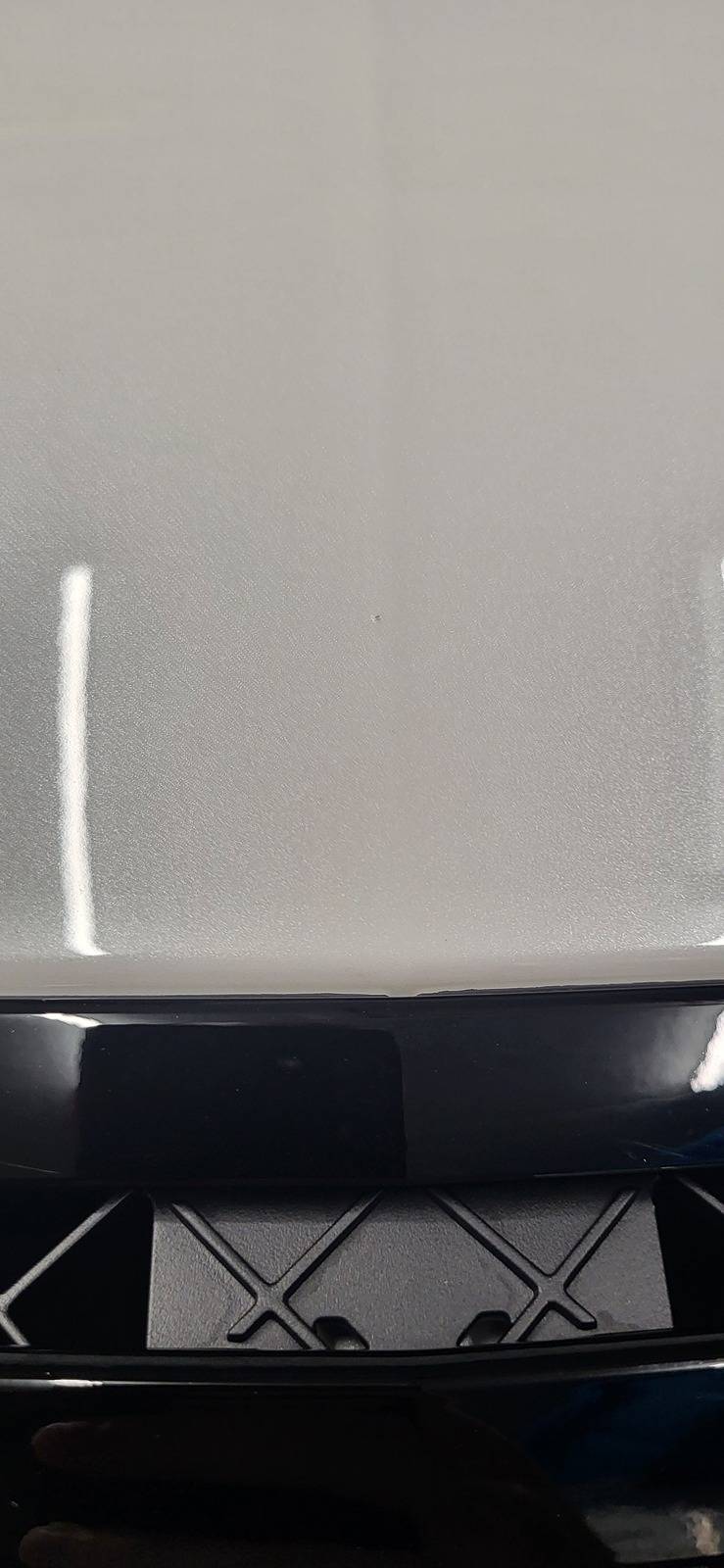Acura Integra Paint nibs / dust particles - repairable? 20240408_074924