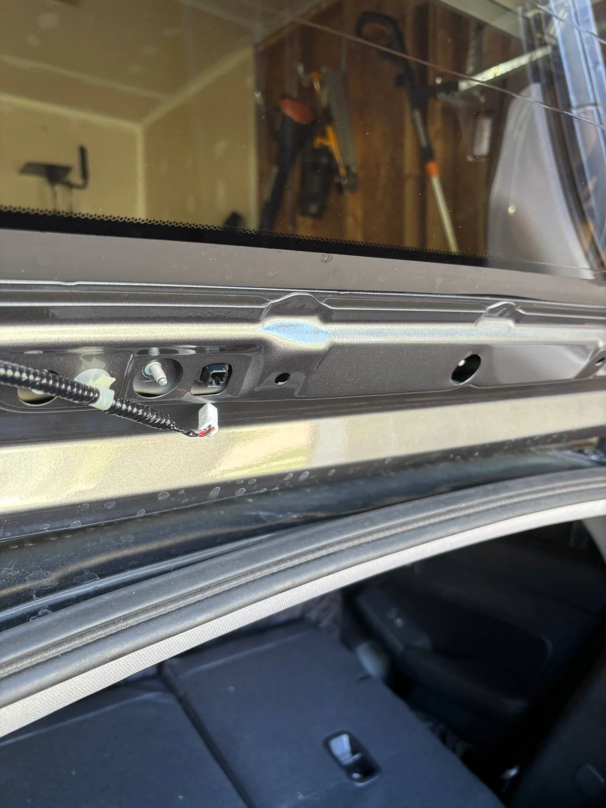 Acura Integra Does anyone have any tips for removing these water spots? IMG_4055