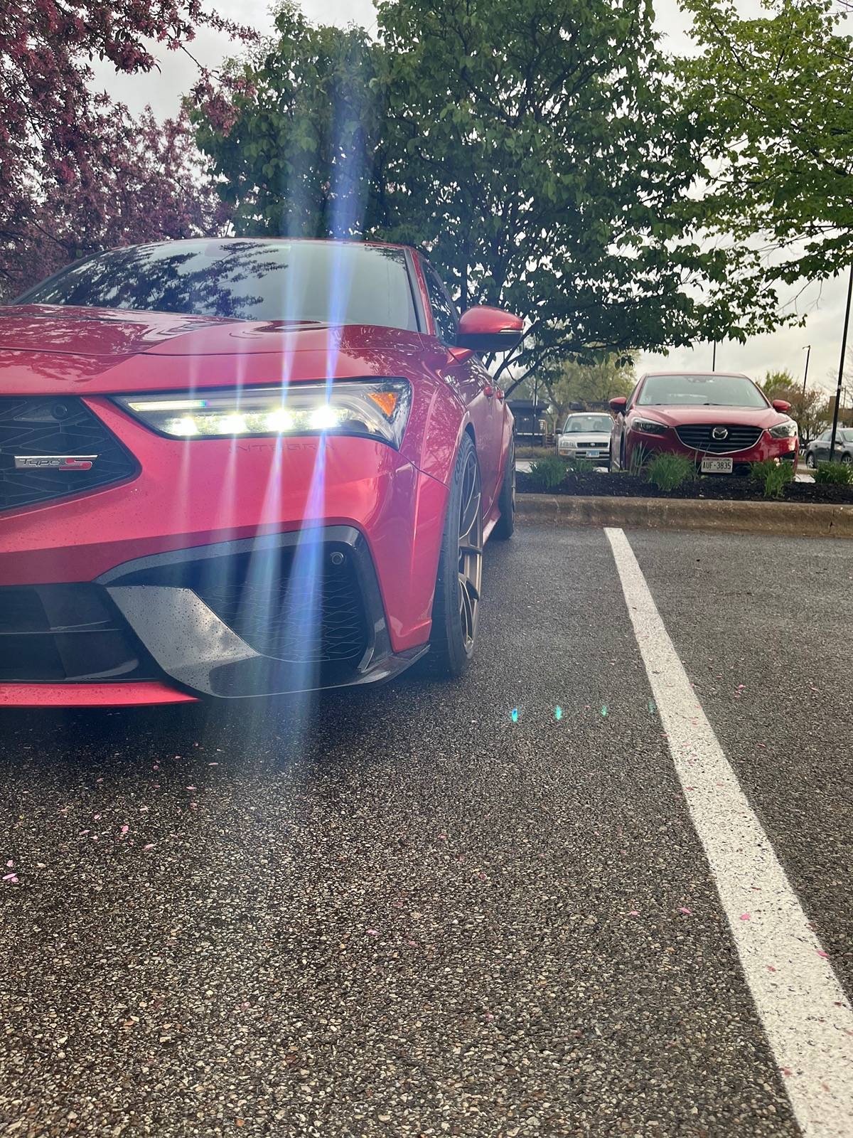 Acura Integra What did you do to your Integra Type S today? 🙋🏻‍♂️ IMG_5278