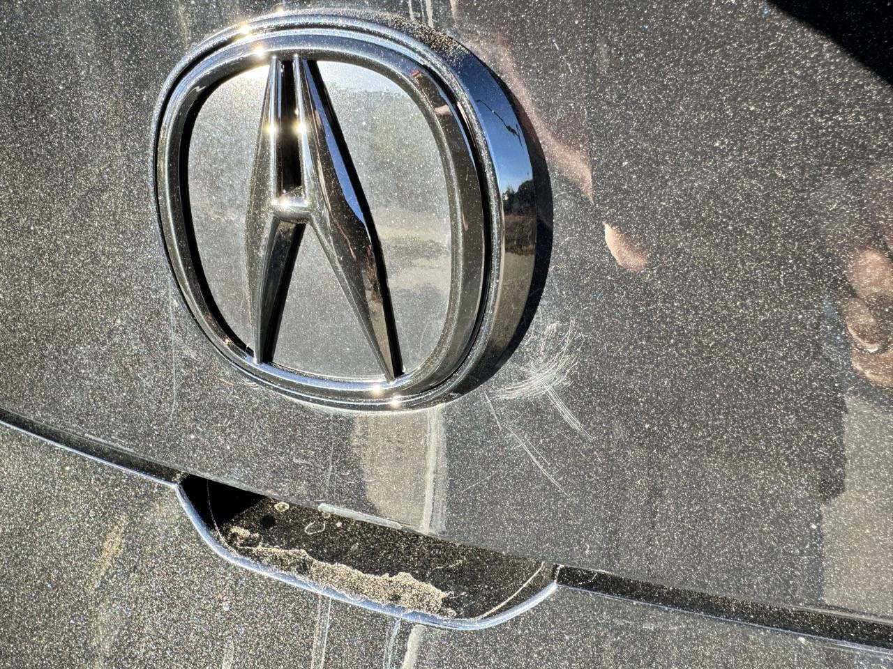 Acura Integra F***ing dealership's shit job.  🤬 IMG_4433 Lar