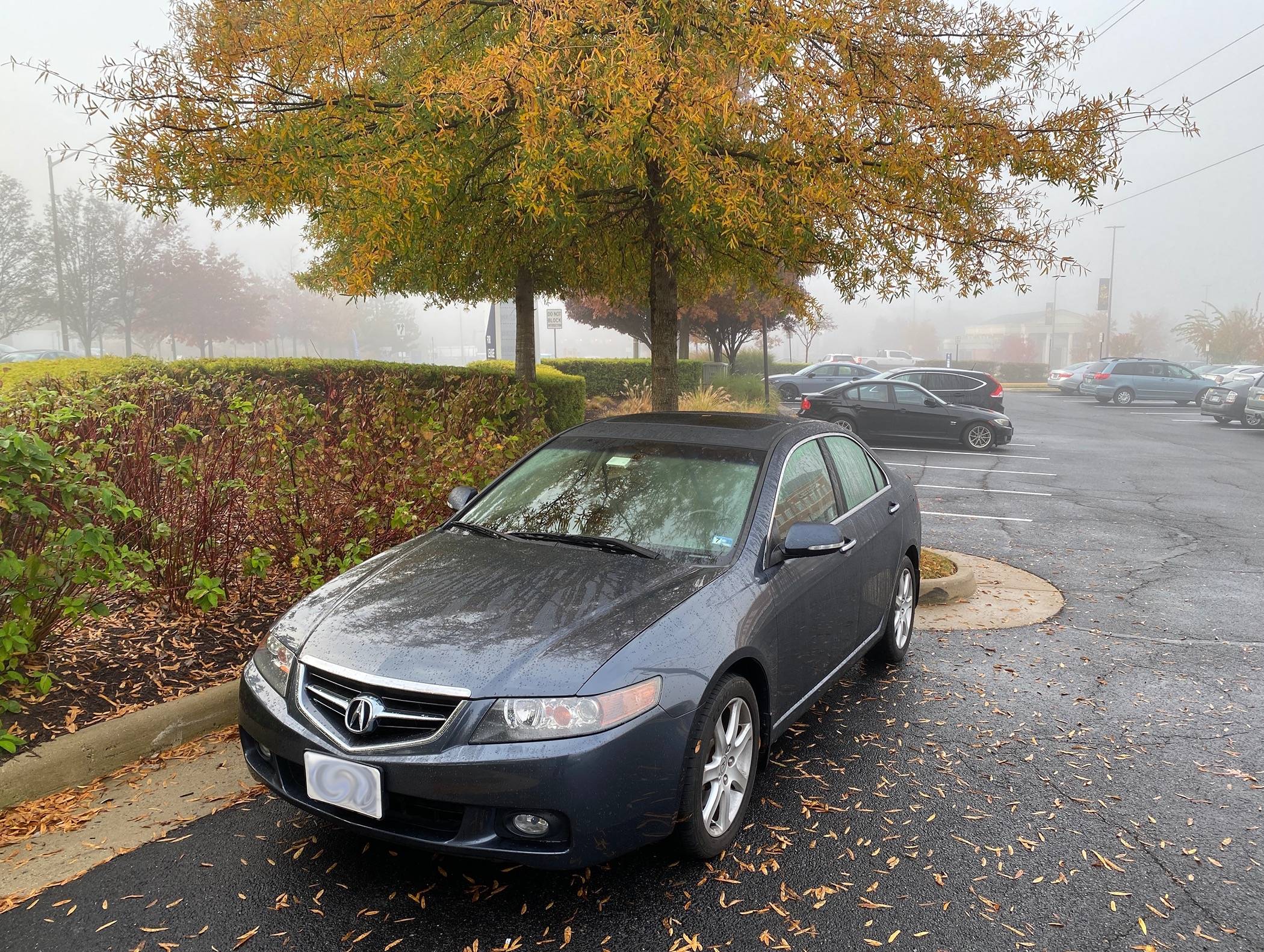 Acura Integra What did you do to your Integra Type S today? 🙋🏻‍♂️ TSX.JPG