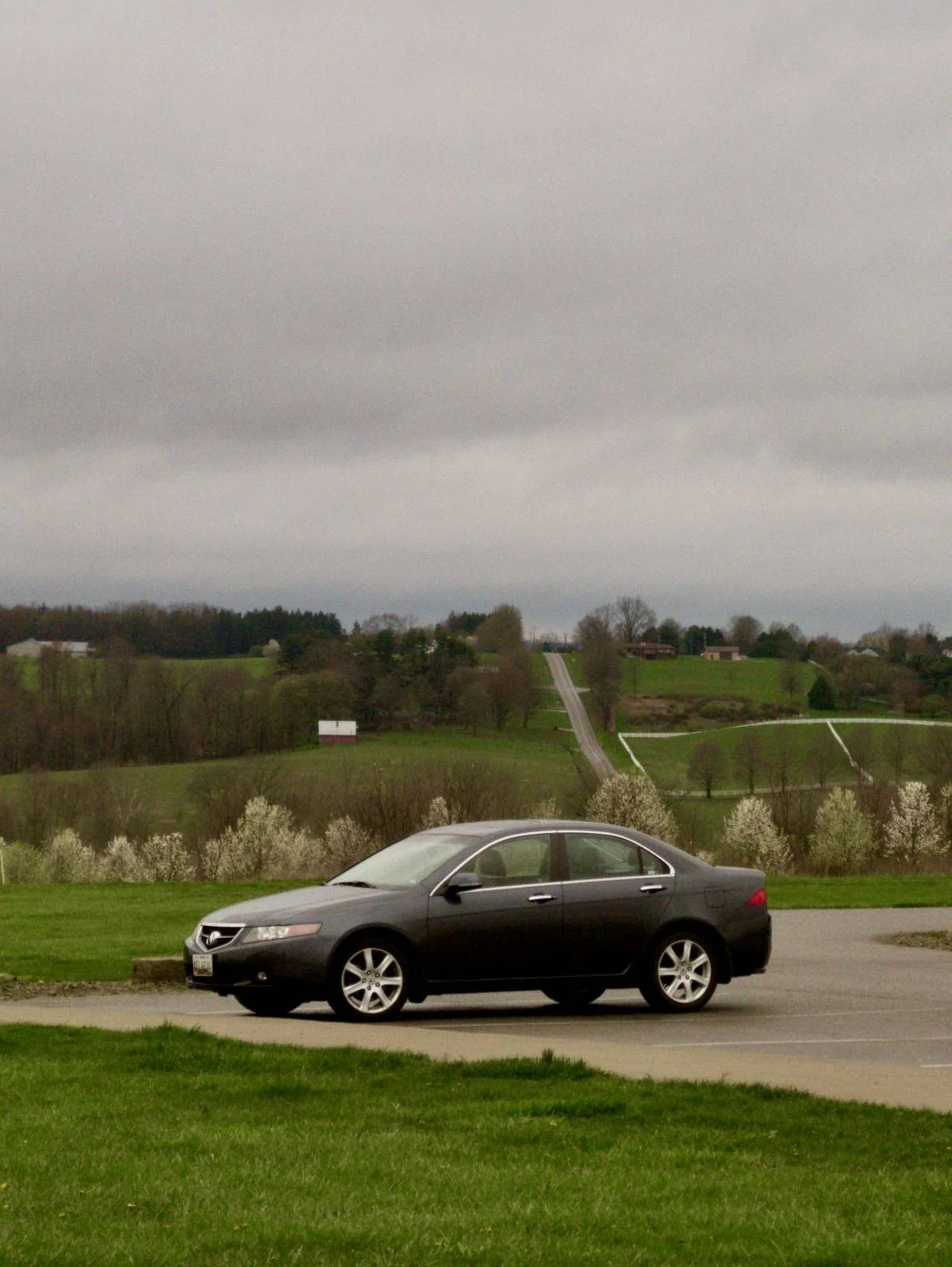 Acura Integra What did you do to your Integra Type S today? 🙋🏻‍♂️ TSX2