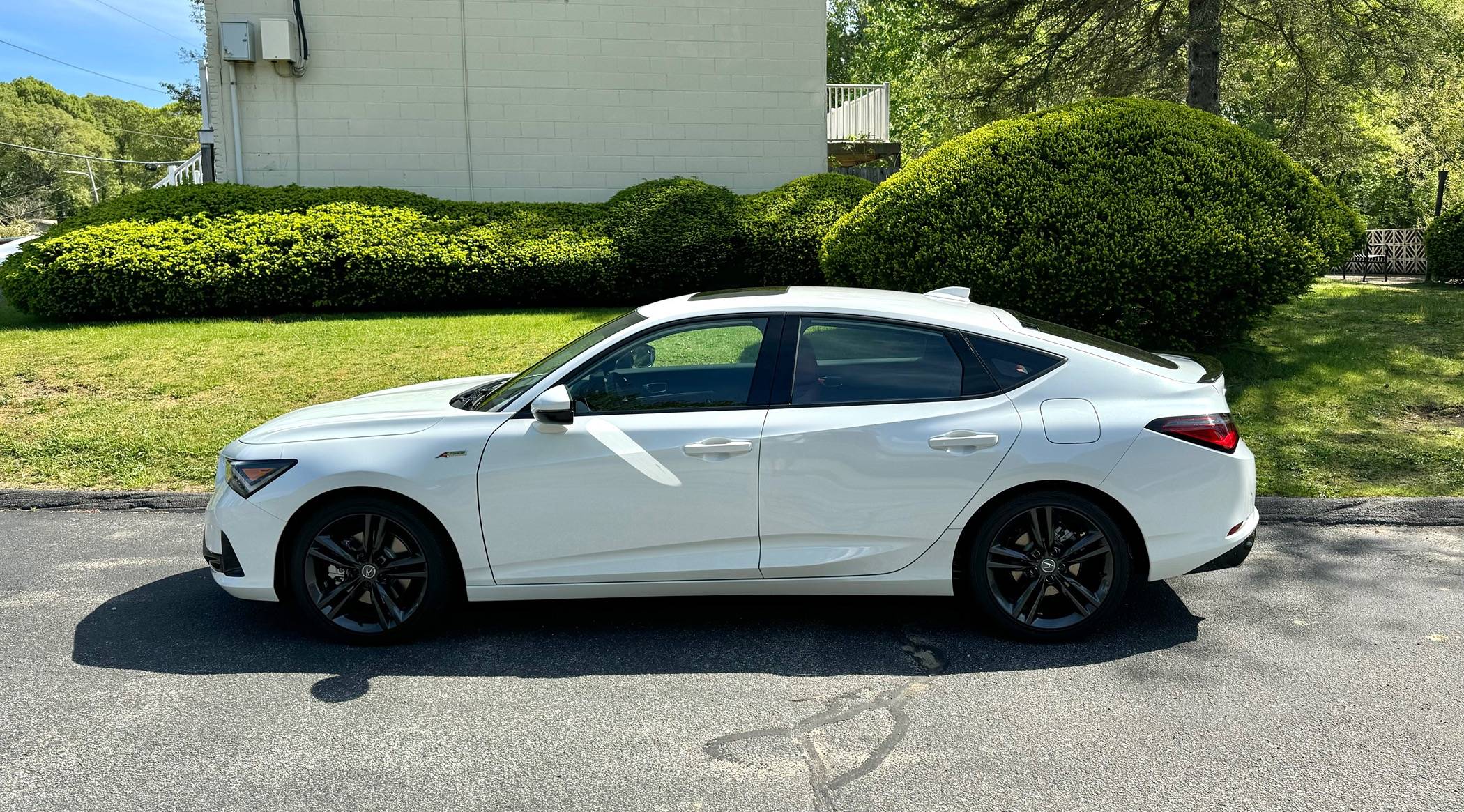 Acura Integra New Owner ‘24 Acura Integra IMG_0513