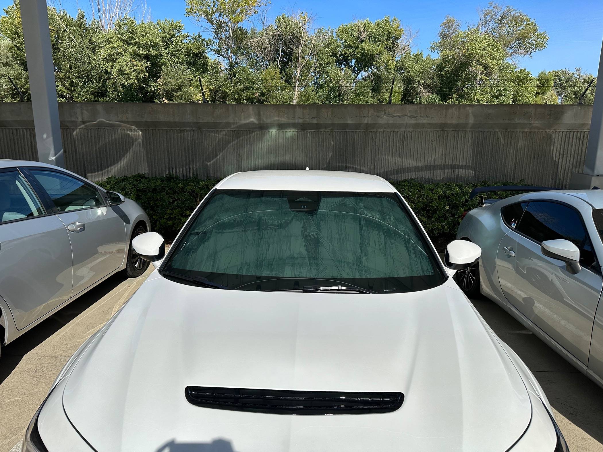 Acura Integra Sunshade IMG_4969