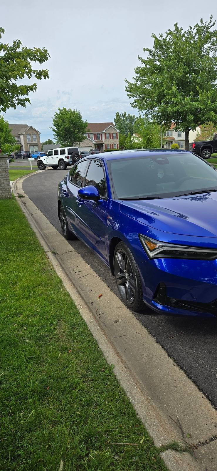 Acura Integra Color Matched Body Moldings 1000002900