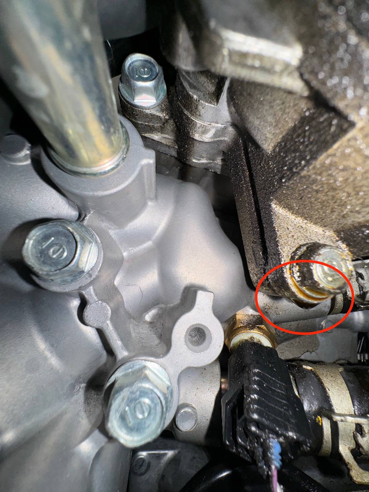 Acura Integra Holy $#@!!  Check out Que the Chaotic's dealership experience IMG_7488