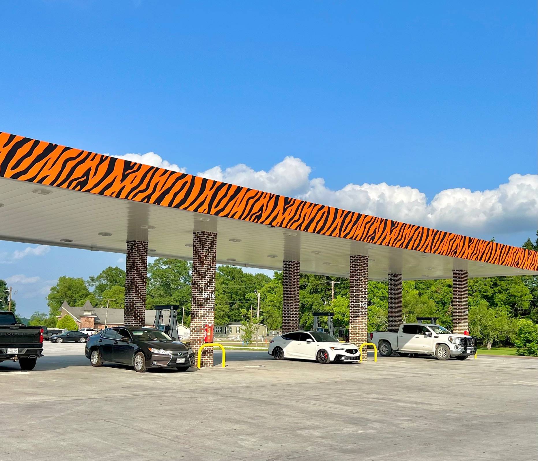 Acura Integra The almost perfect roadtrip car (Miksfield's AB ITS) IMG_7798