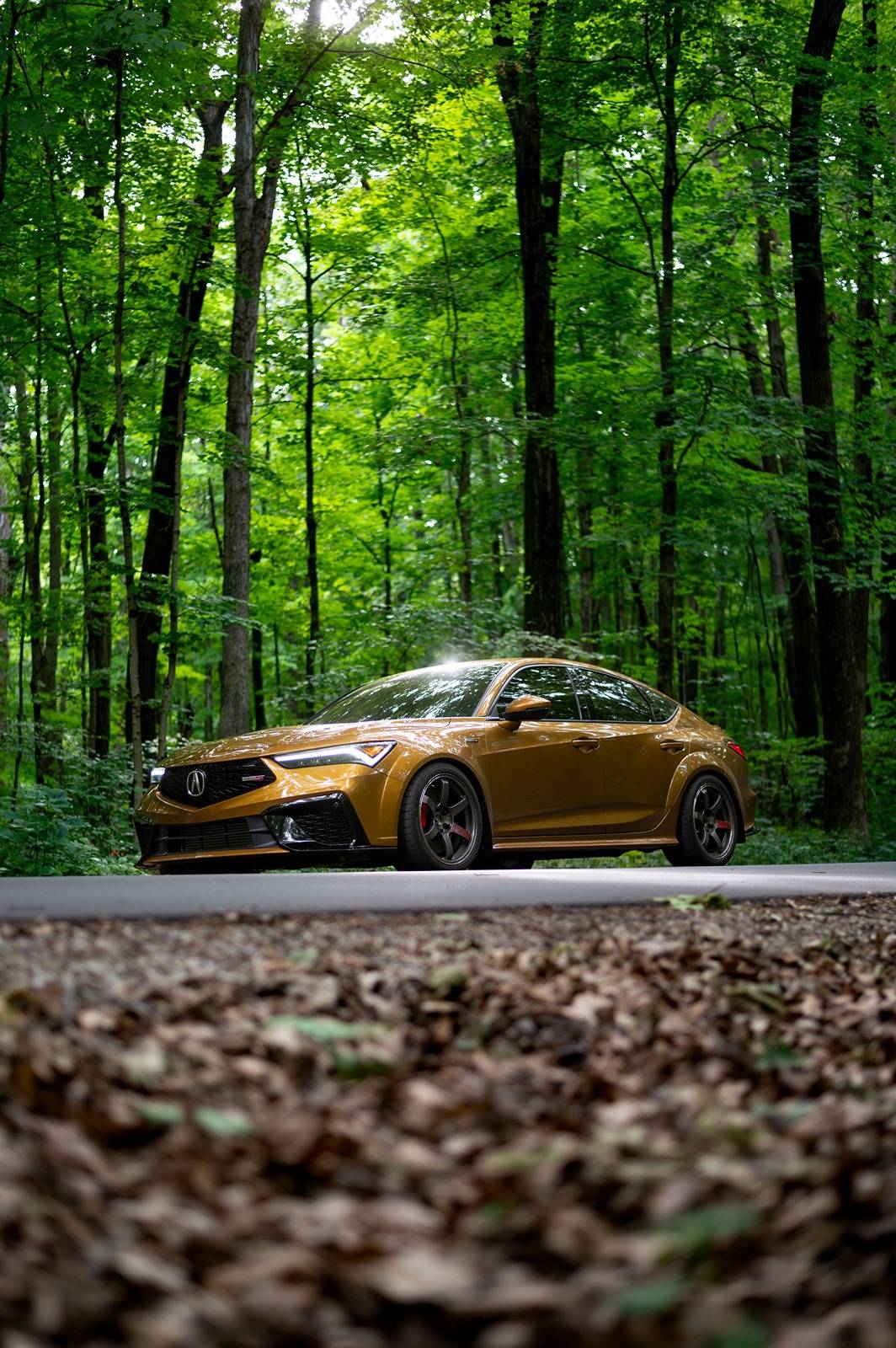 Acura Integra FX3D Design Rockguards DSC_3609.JPG