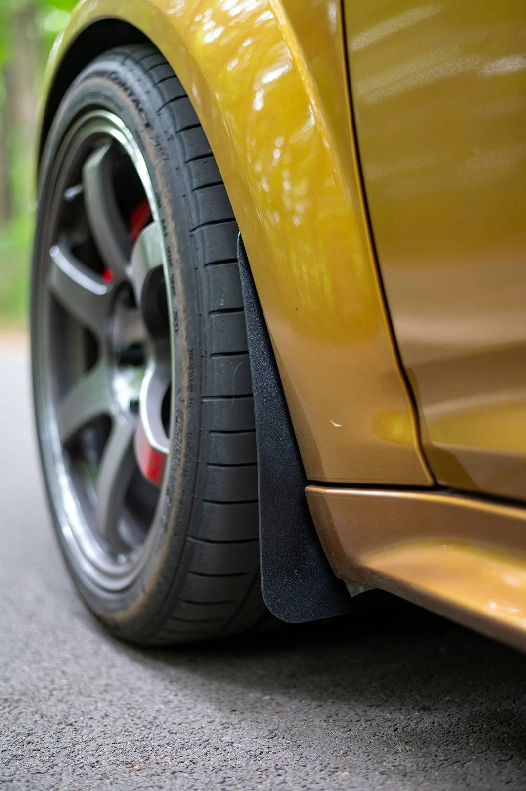 Acura Integra FX3D Design Rockguards DSC_3613