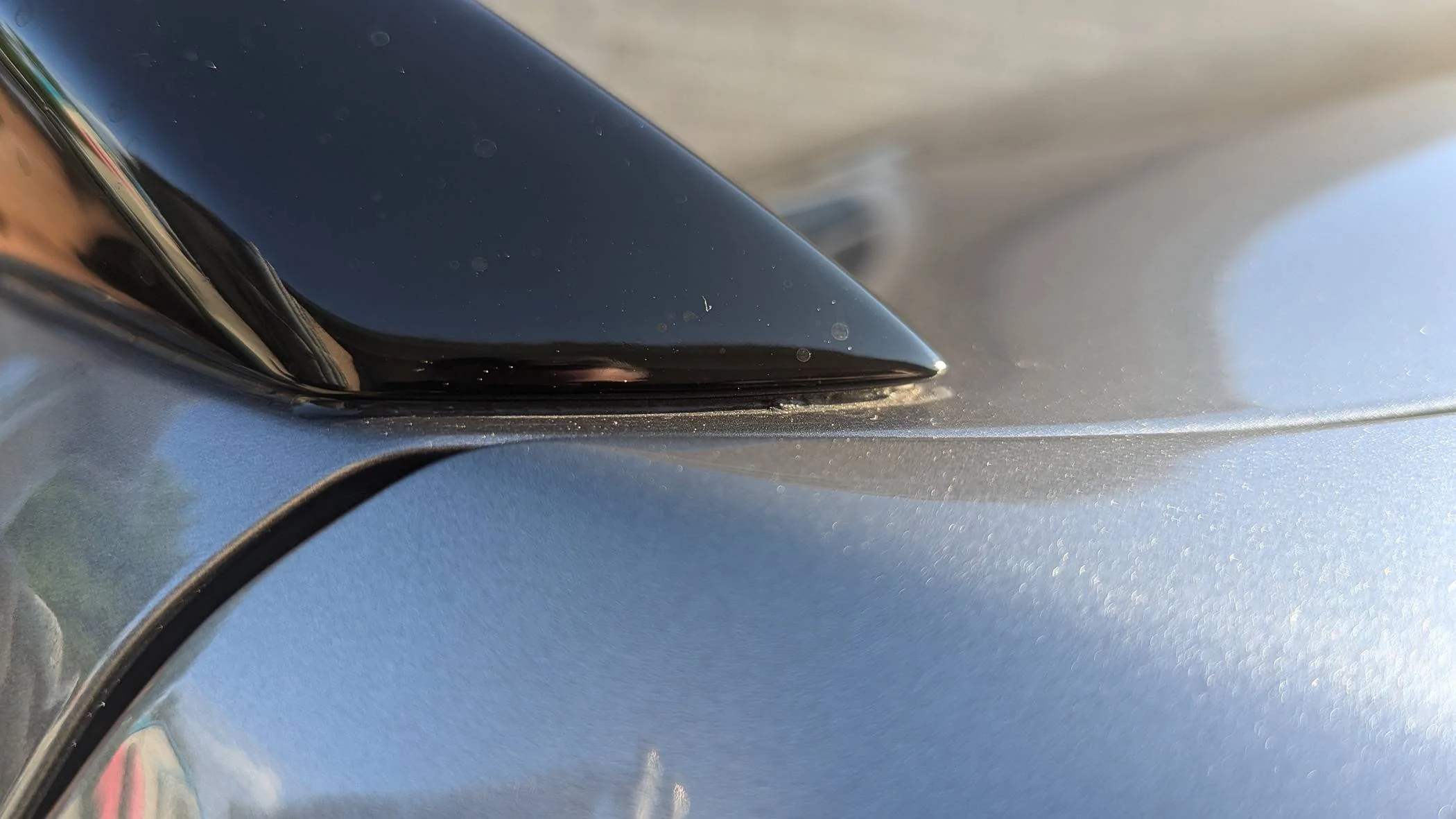 Acura Integra What spoilers are you guys getting, if any? 20240623_22