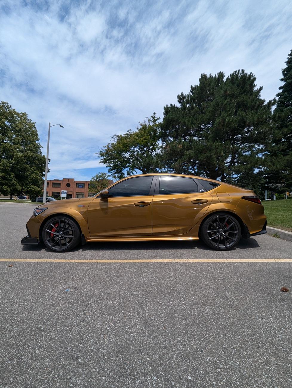 Acura Integra 1to_TypeS - Tiger Eye Pearl (TEP) build 1000126544