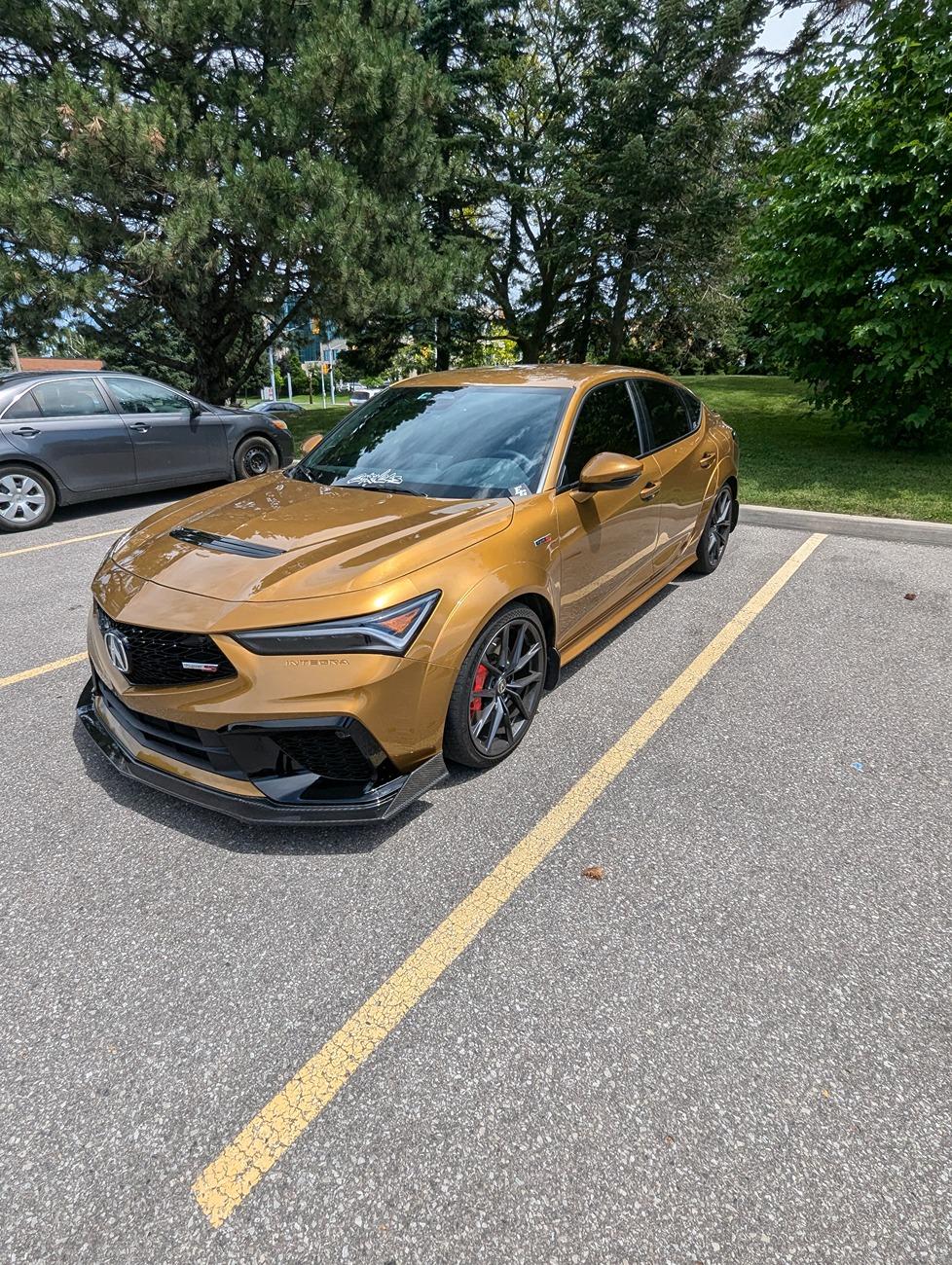 Acura Integra Official TIGER EYE PEARL Integra Club & Photos 1000126543