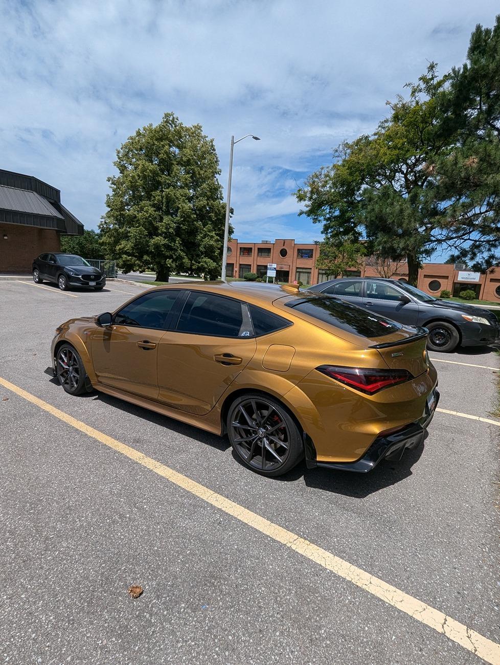 Acura Integra Official TIGER EYE PEARL Integra Club & Photos 1000126541