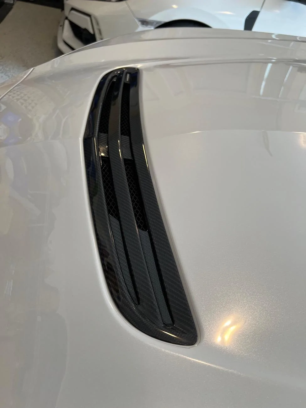 Acura Integra Aero Carbon Hood Insert IMG_2822