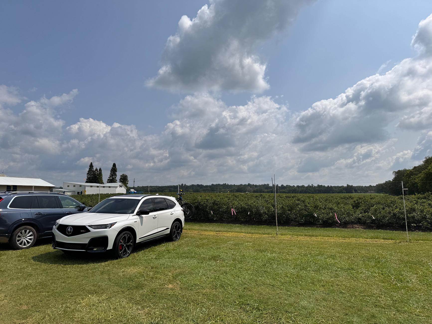 Acura Integra 2025 MDX type S IMG_0434
