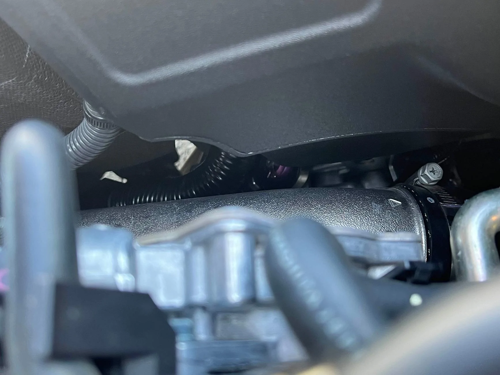 Acura Integra What did you do to your Integra Type S today? 🙋🏻‍♂️ IMG_2956