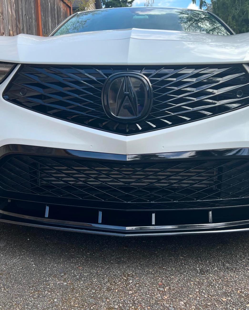 Acura Integra Exterior mods - what should I do next? 8ACC1ED0-3657-4700-B032-DF1A248673D6