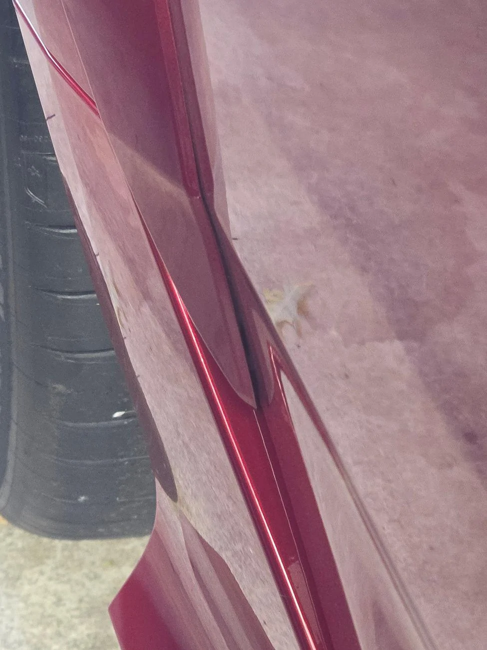 Acura Integra Rattles and Vibrations 20240815_122222