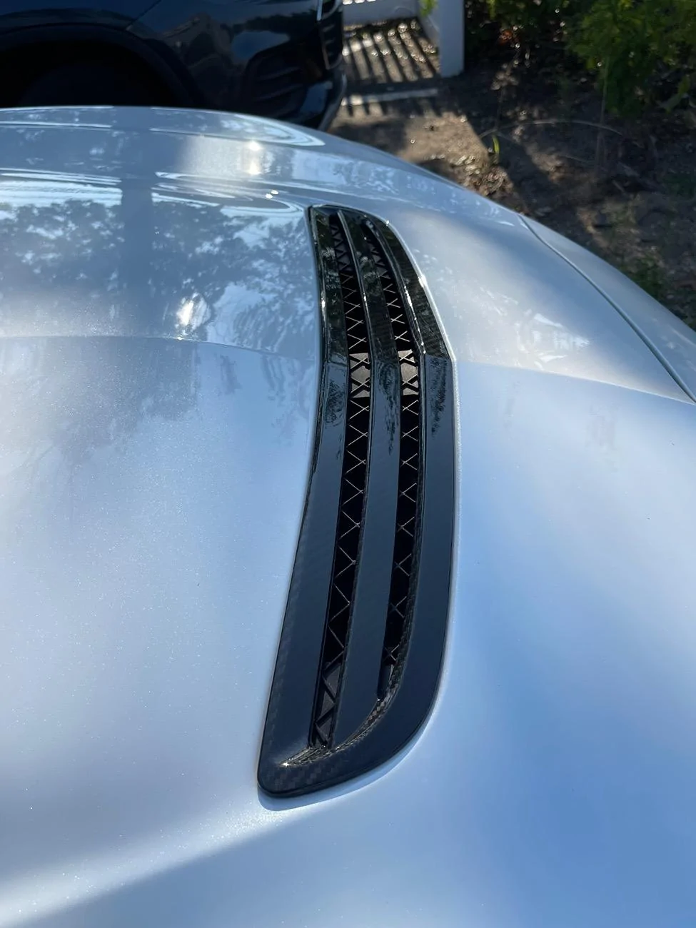 Acura Integra Aero Carbon Hood Insert IMG_3072