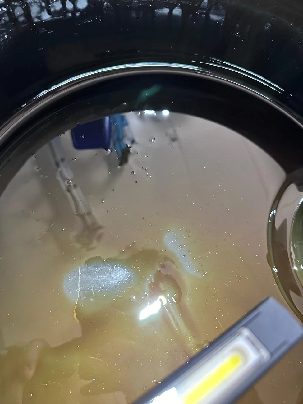 Acura Integra Metal Flakes in Oil IMG_8453