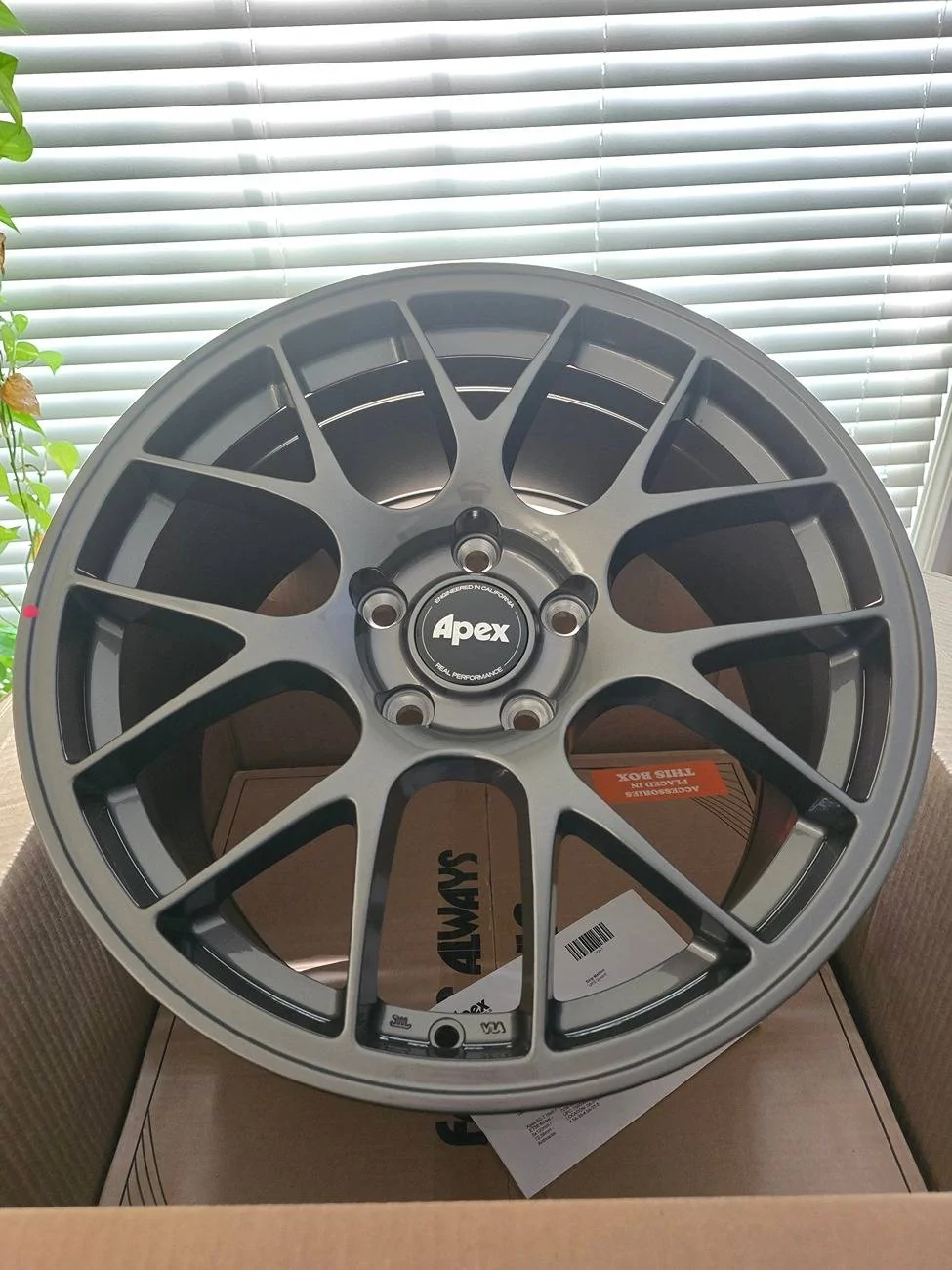 Acura Integra Back on Track 20240911_154848