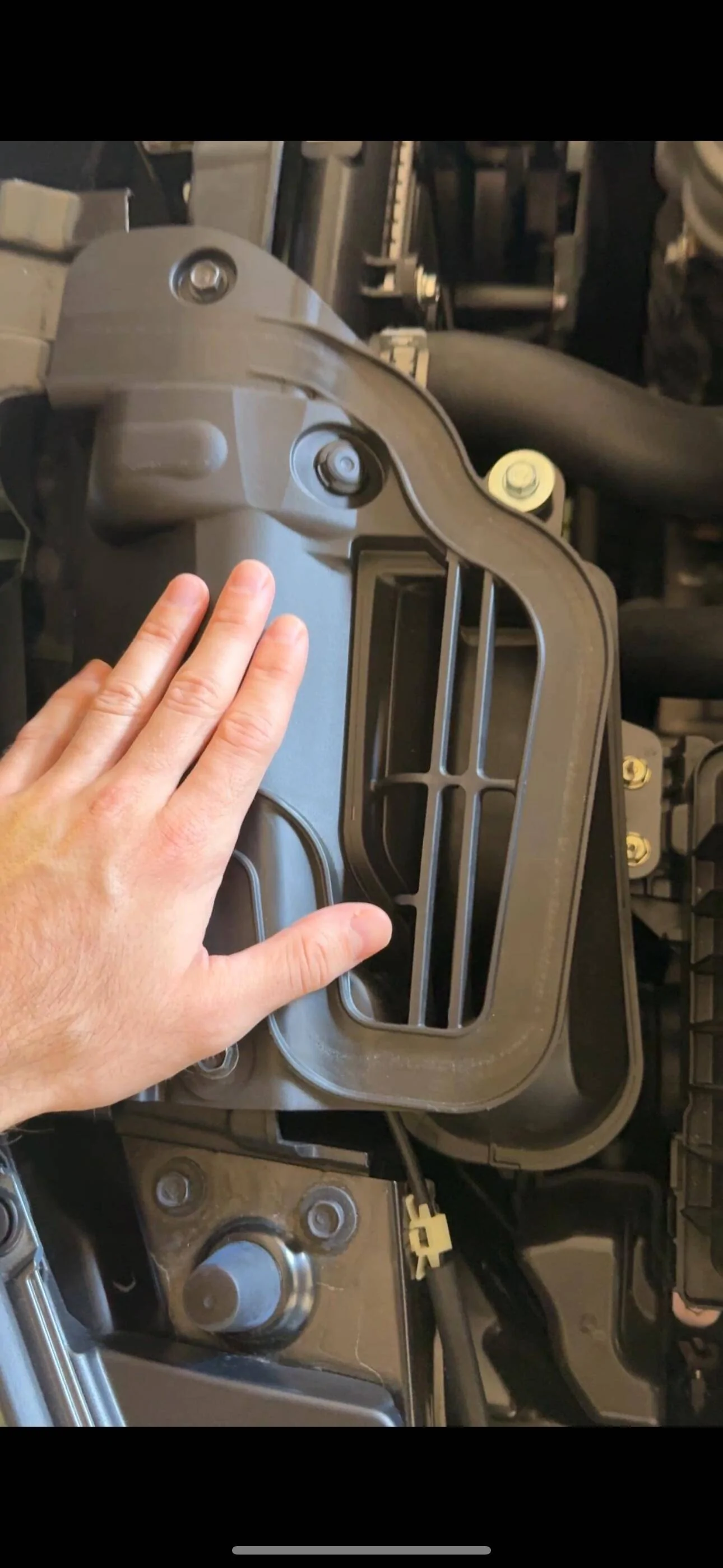 Acura Integra Engine sound upon cold start. Is this “normal”? IMG_0179