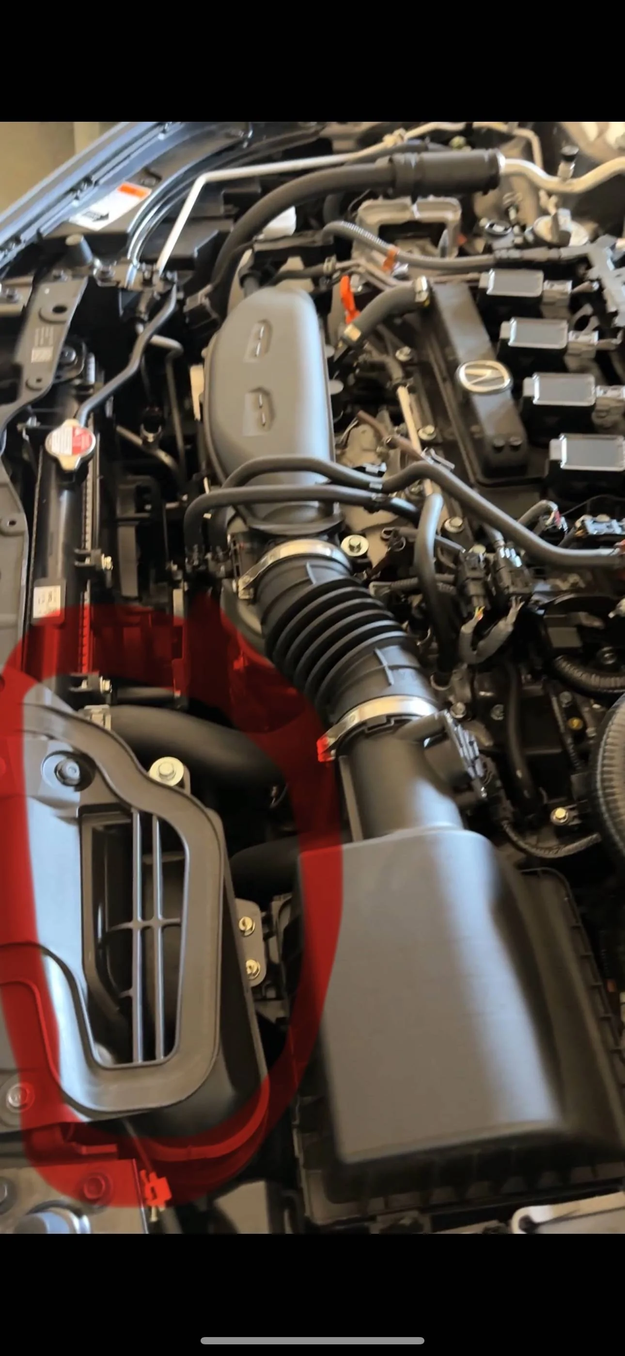 Acura Integra Engine sound upon cold start. Is this “normal”? IMG_0180