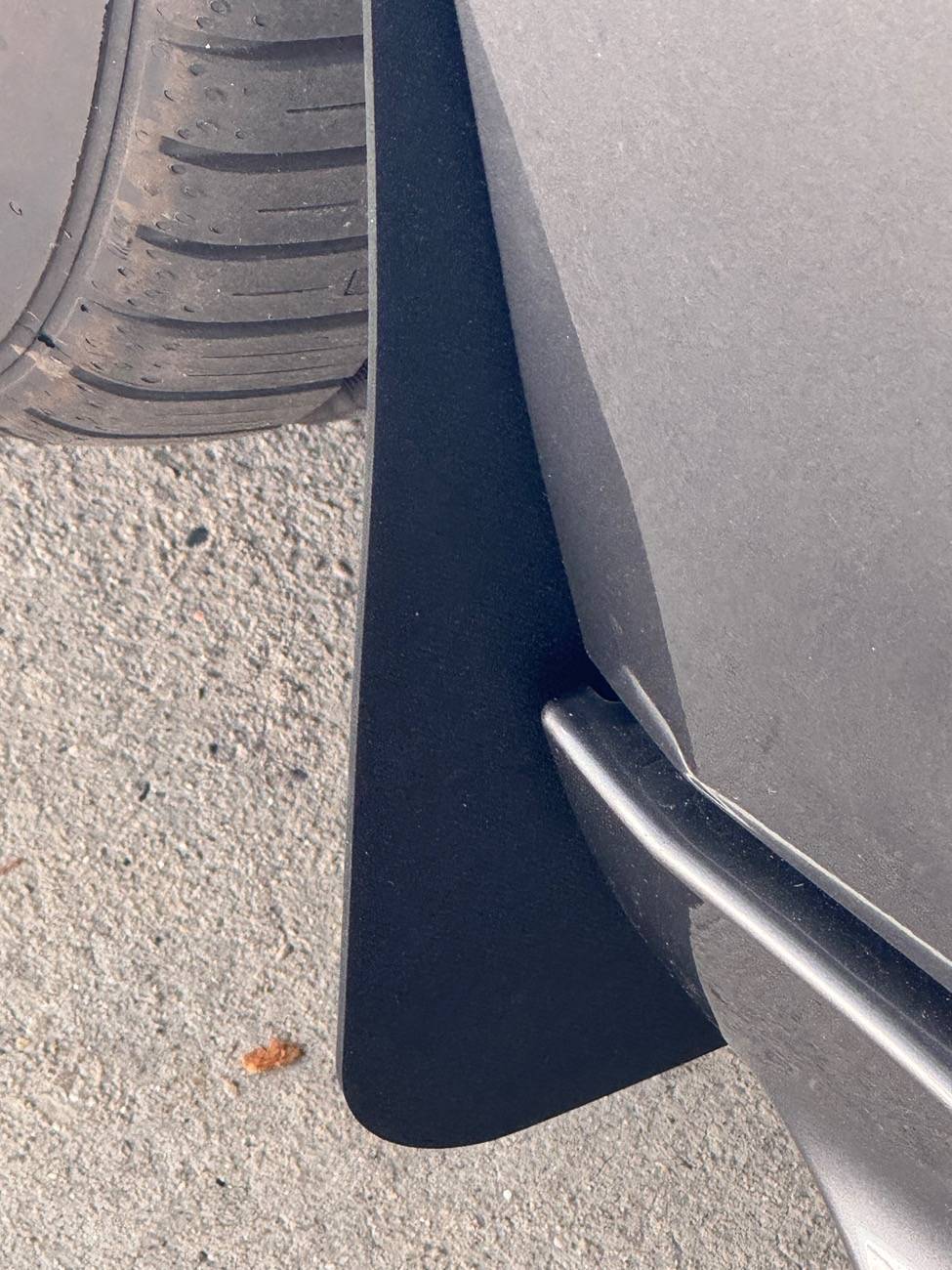 Acura Integra FX3D Design Rockguards IMG_0141