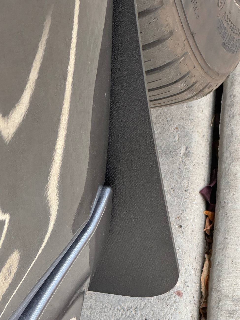 Acura Integra FX3D Design Rockguards IMG_0142