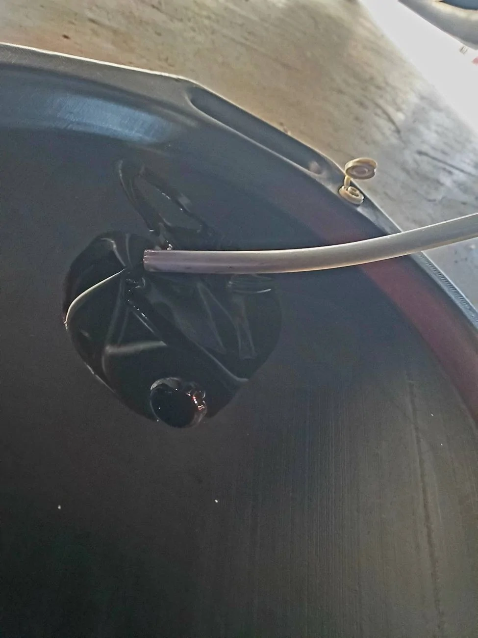 Acura Integra What did you do to your Integra Type S today? 🙋🏻‍♂️ 20241202_153731