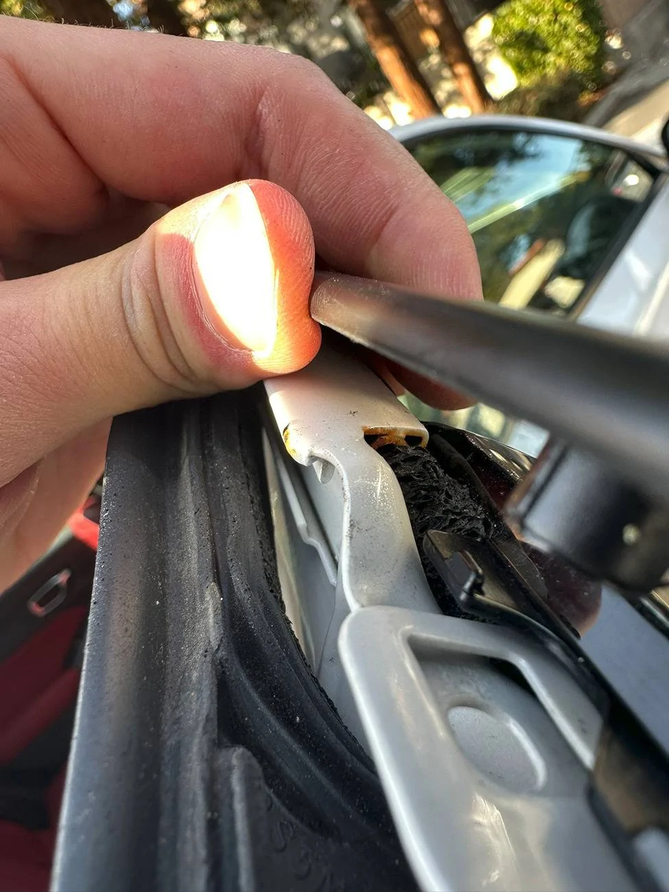 Acura Integra Rust under weather strip? IMG_4413