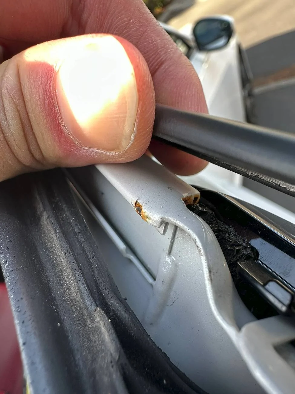 Acura Integra Rust under weather strip? IMG_4415