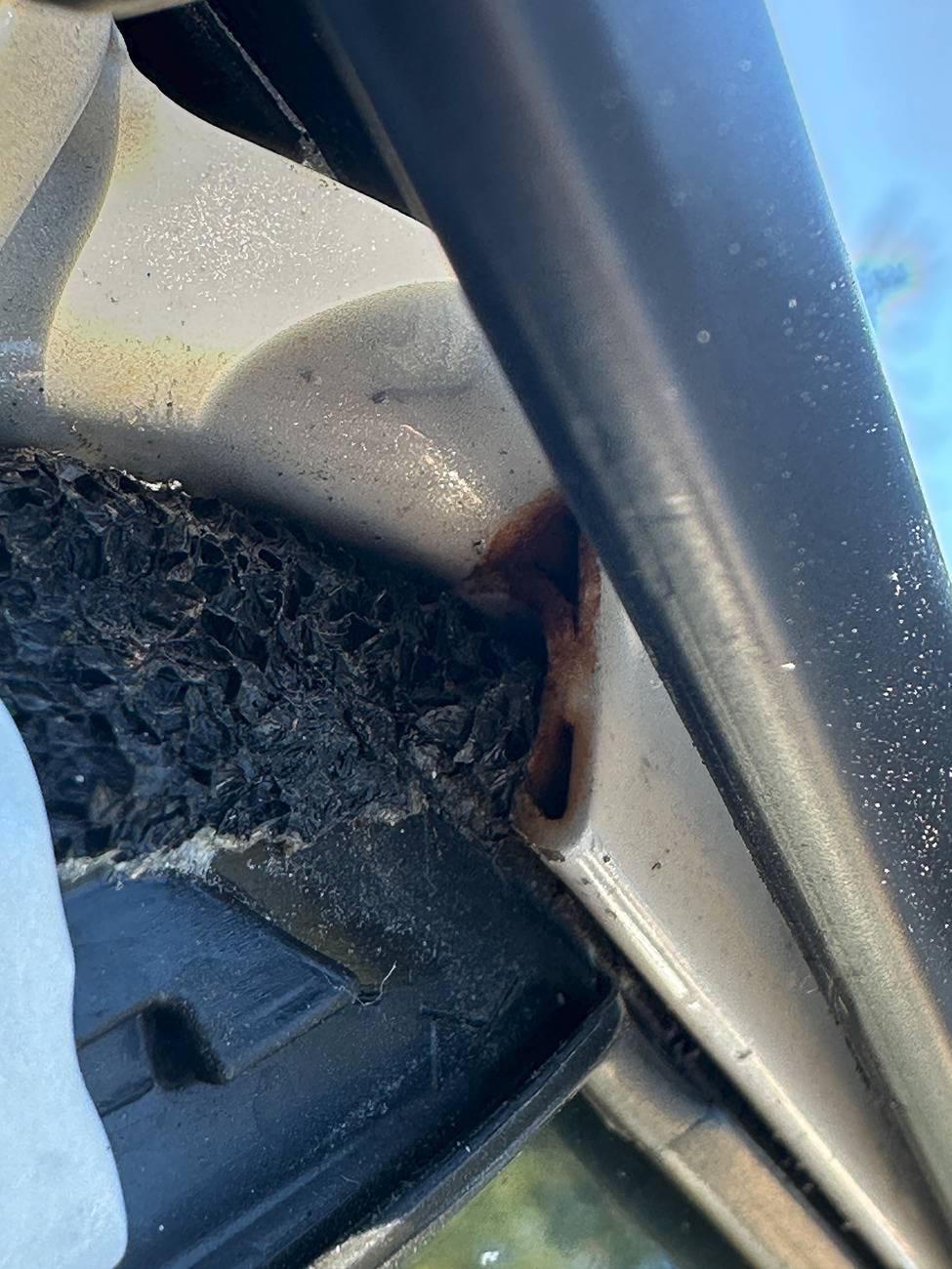 Acura Integra Rust under weather strip? IMG_4431.JPEG