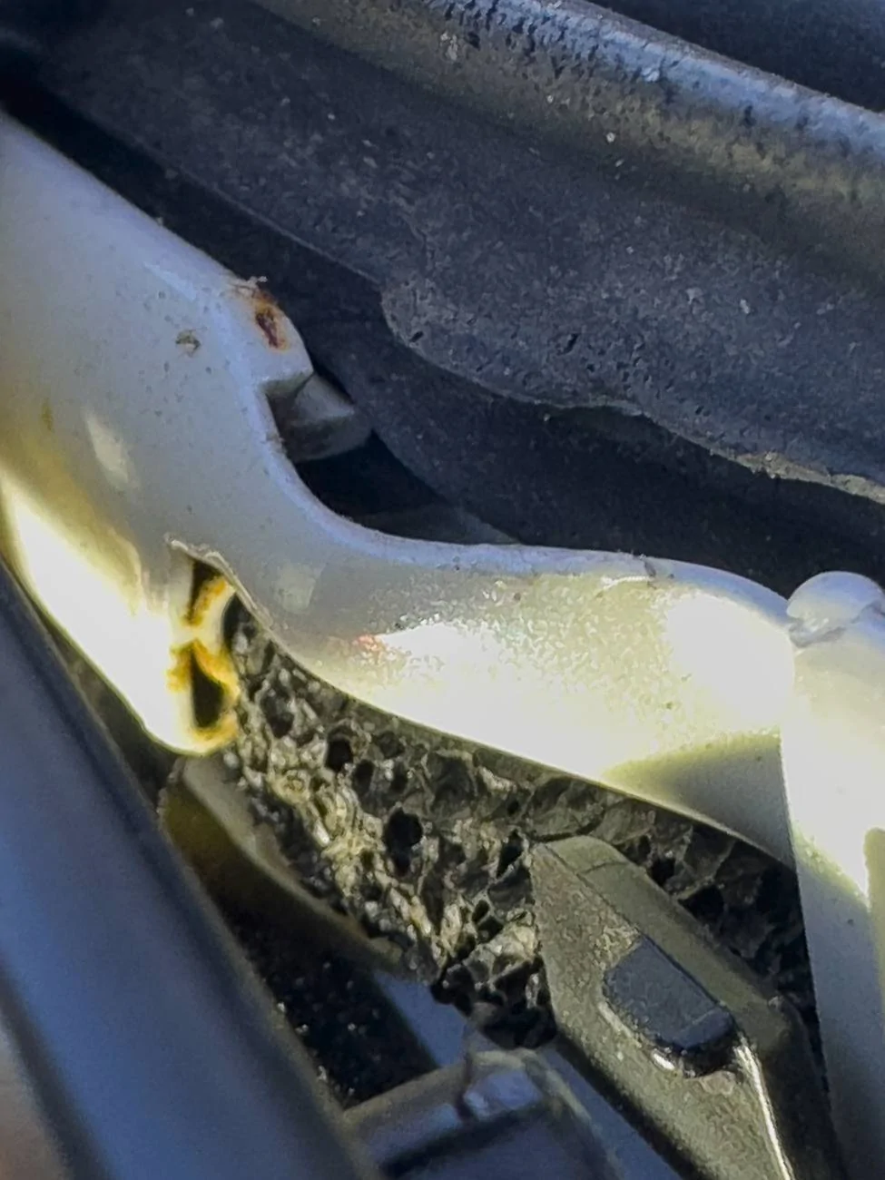 Acura Integra Rust under weather strip? IMG_4454 2