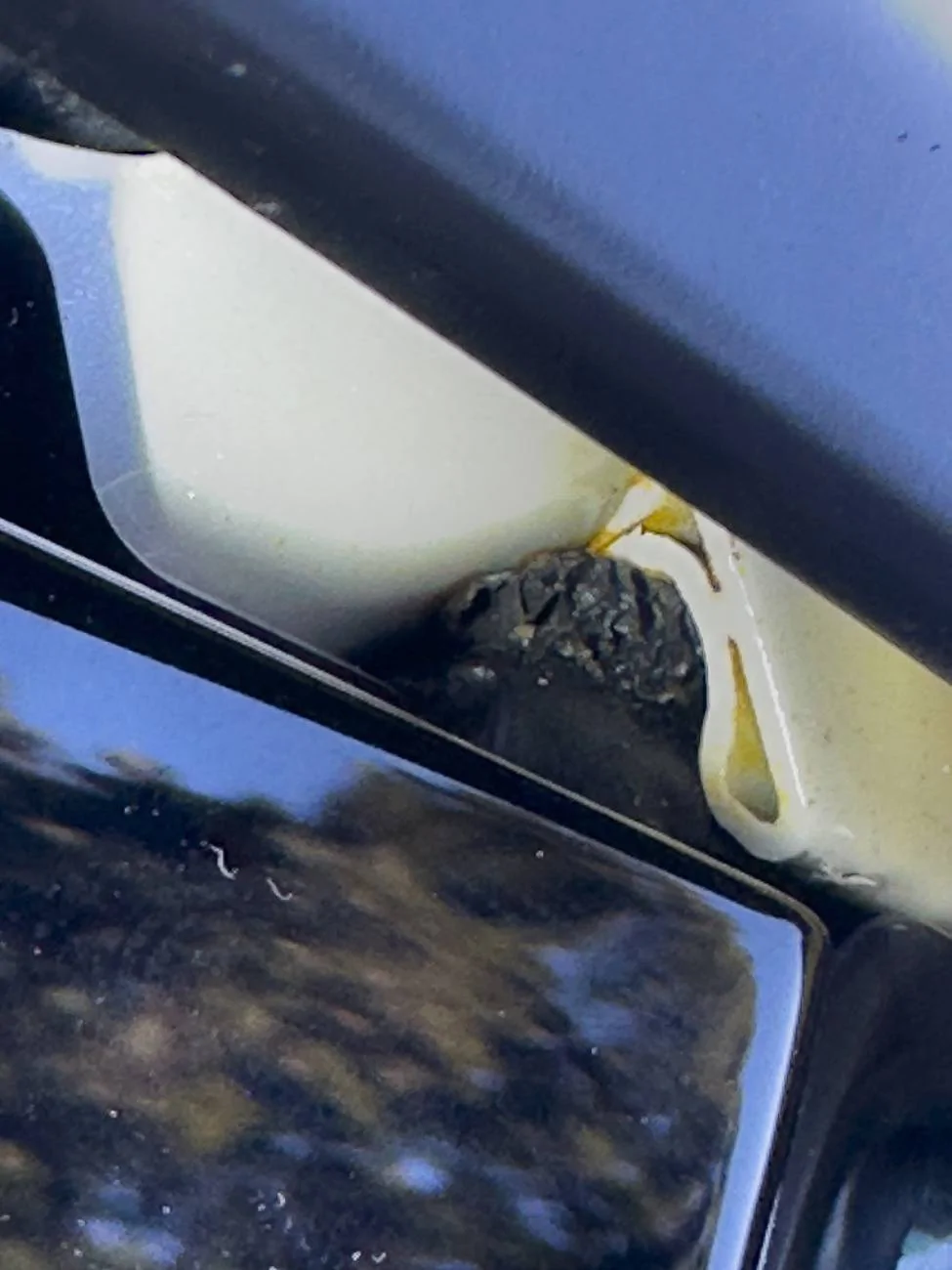 Acura Integra Rust under weather strip? IMG_4458 2