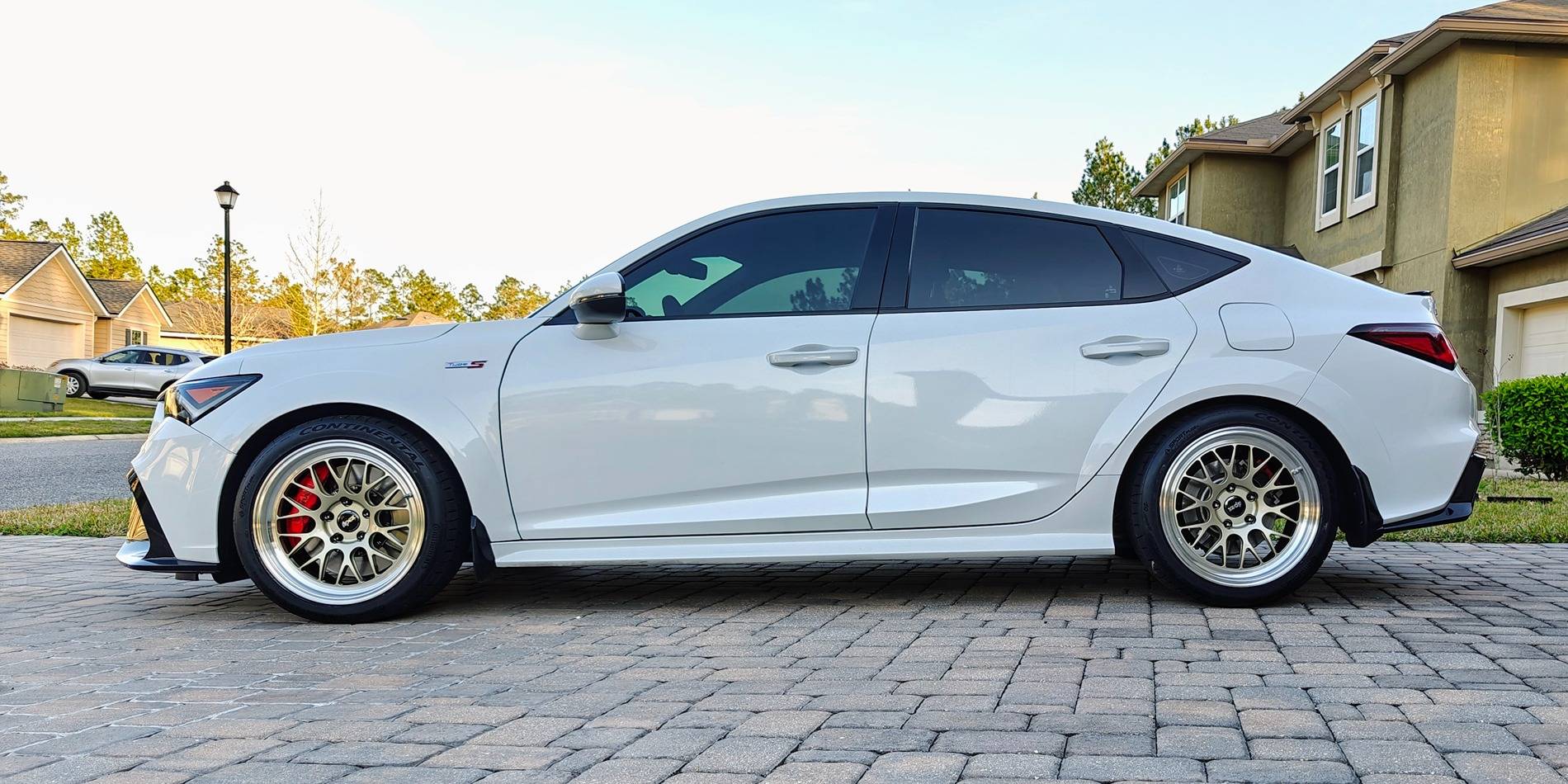 IMG20250307173639 (1).jpg