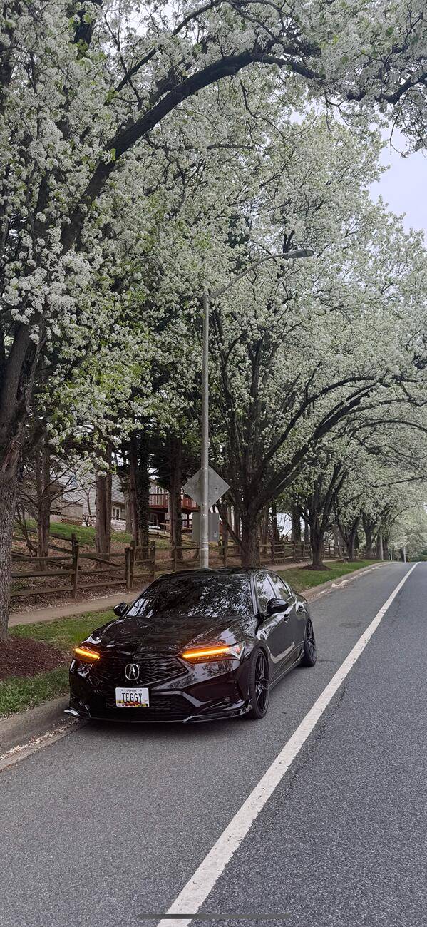 Acura Integra Is there anything else that could be done to this car? IMG_8302