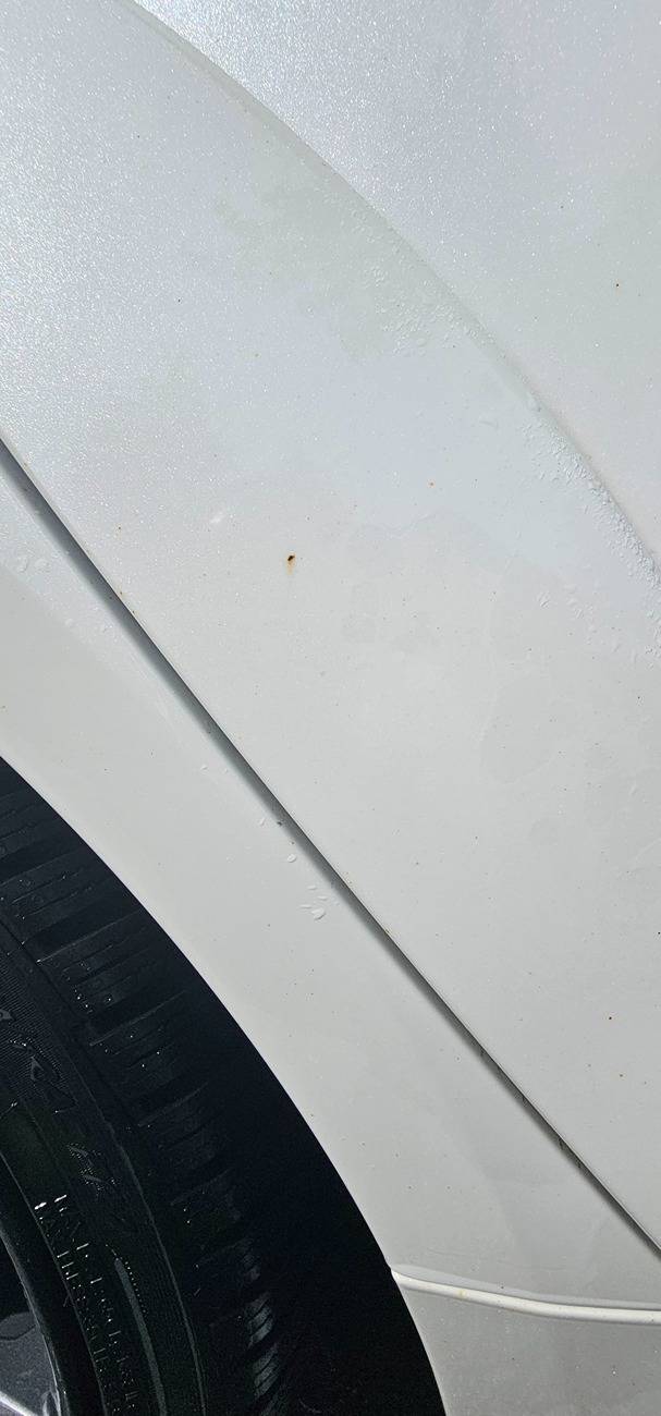 Acura Integra Body rust speckles? 20250414_151012