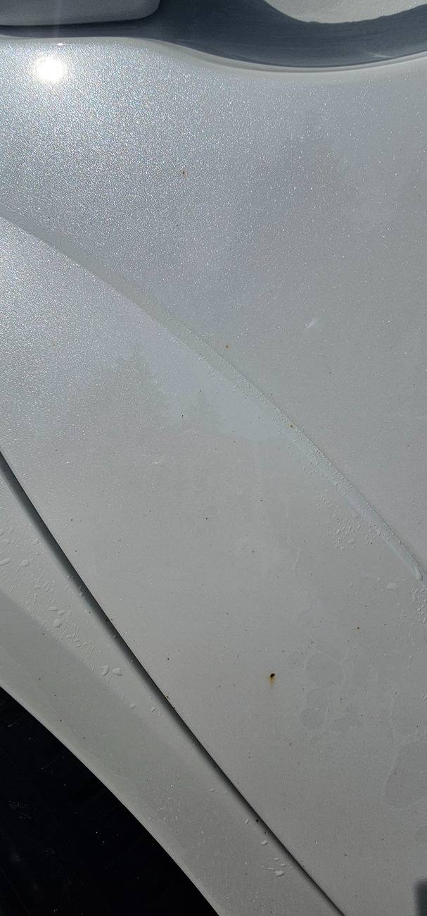 Acura Integra Body rust speckles? 20250414_151017