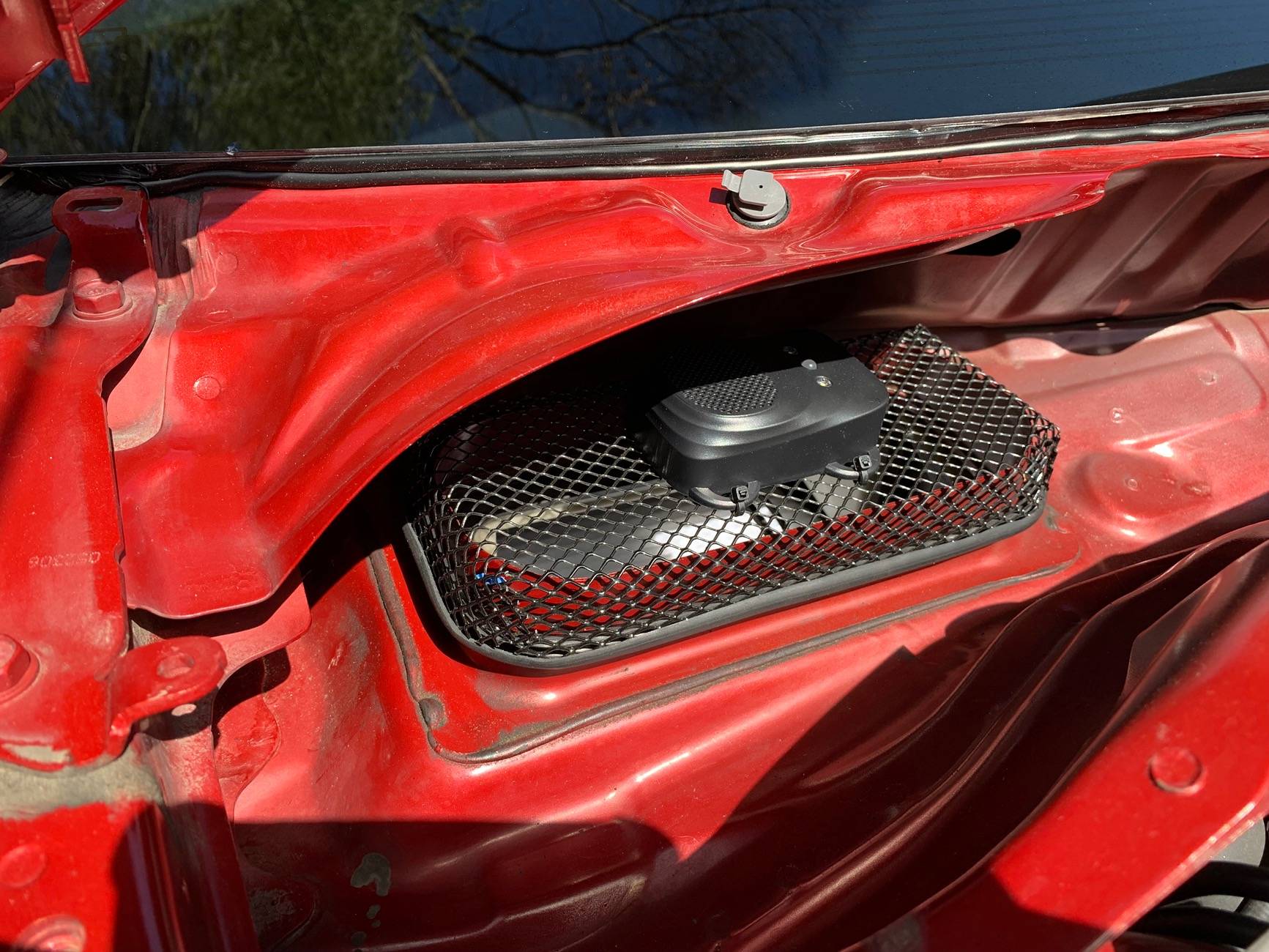 Acura Integra How to Mouse-proof my ITS? IMG_4102