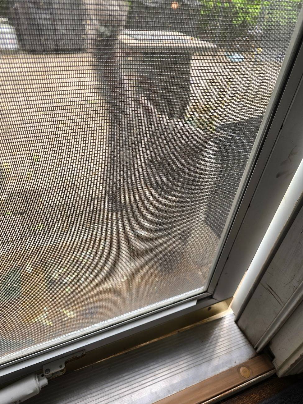 Acura Integra How to Mouse-proof my ITS? 20250419_110129