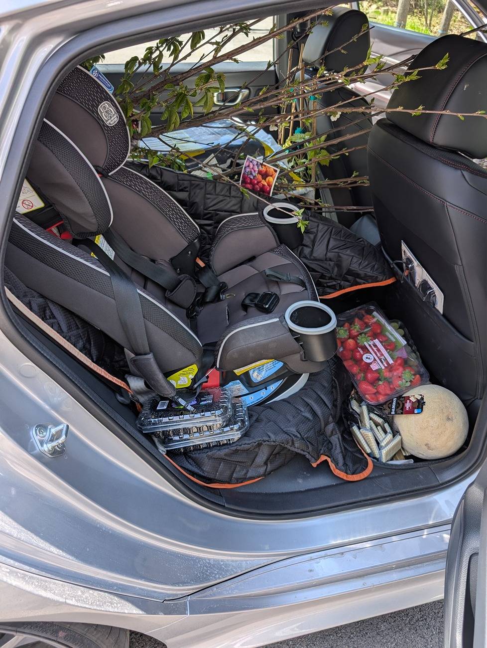 Acura Integra What does the Integra's 24.3 cu. ft. of cargo space actually mean in real world situations... PXL_20250511_153551350