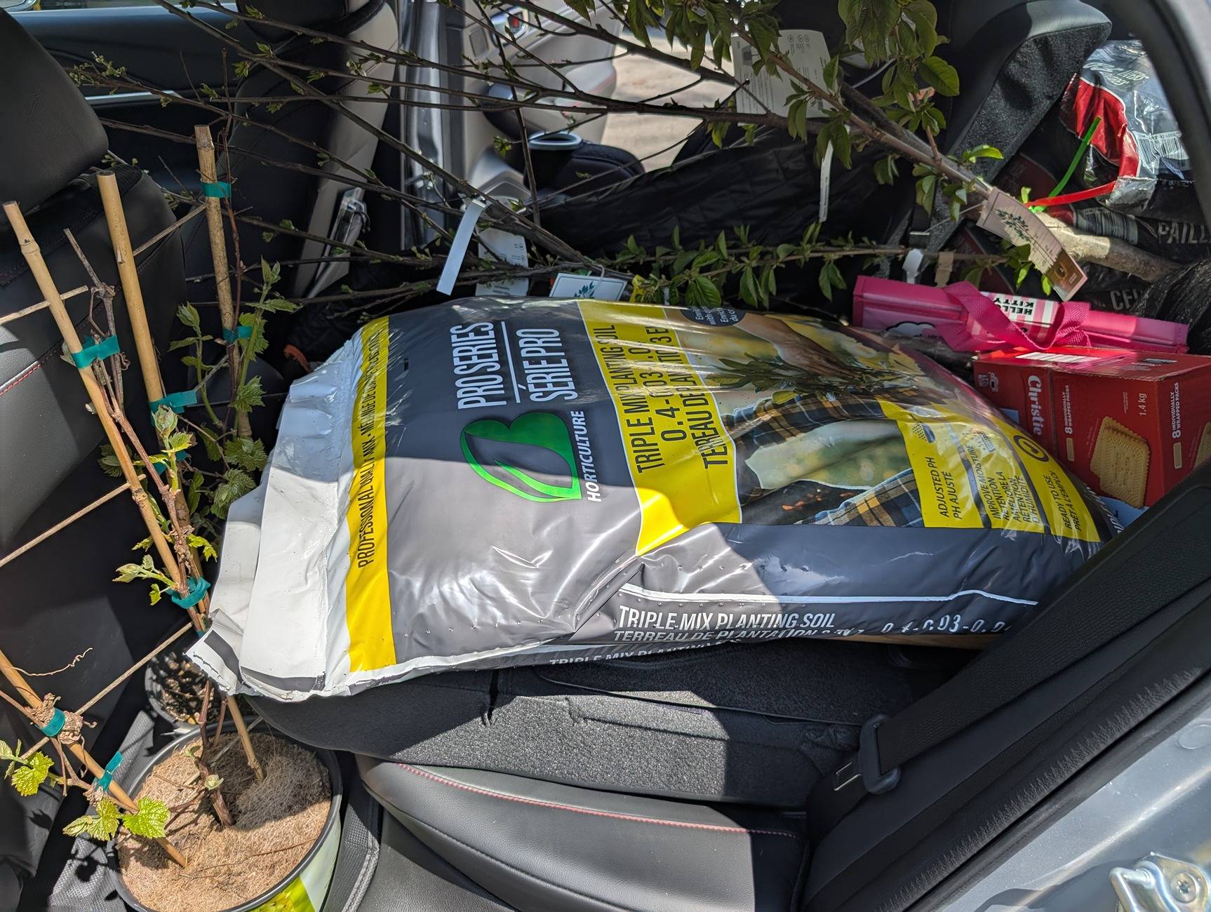 Acura Integra What does the Integra's 24.3 cu. ft. of cargo space actually mean in real world situations... PXL_20250511_153618492