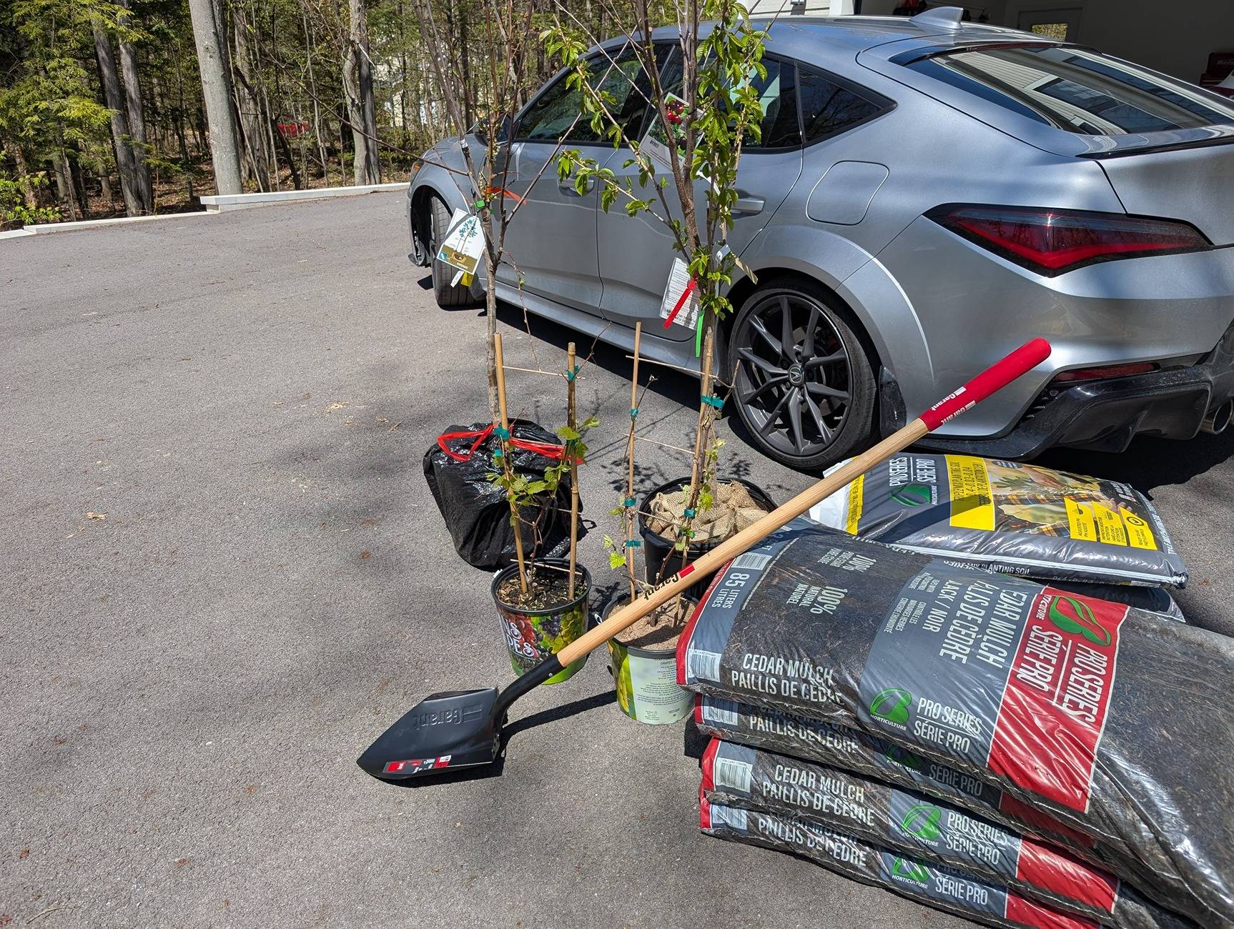 Acura Integra What does the Integra's 24.3 cu. ft. of cargo space actually mean in real world situations... PXL_20250511_154802820