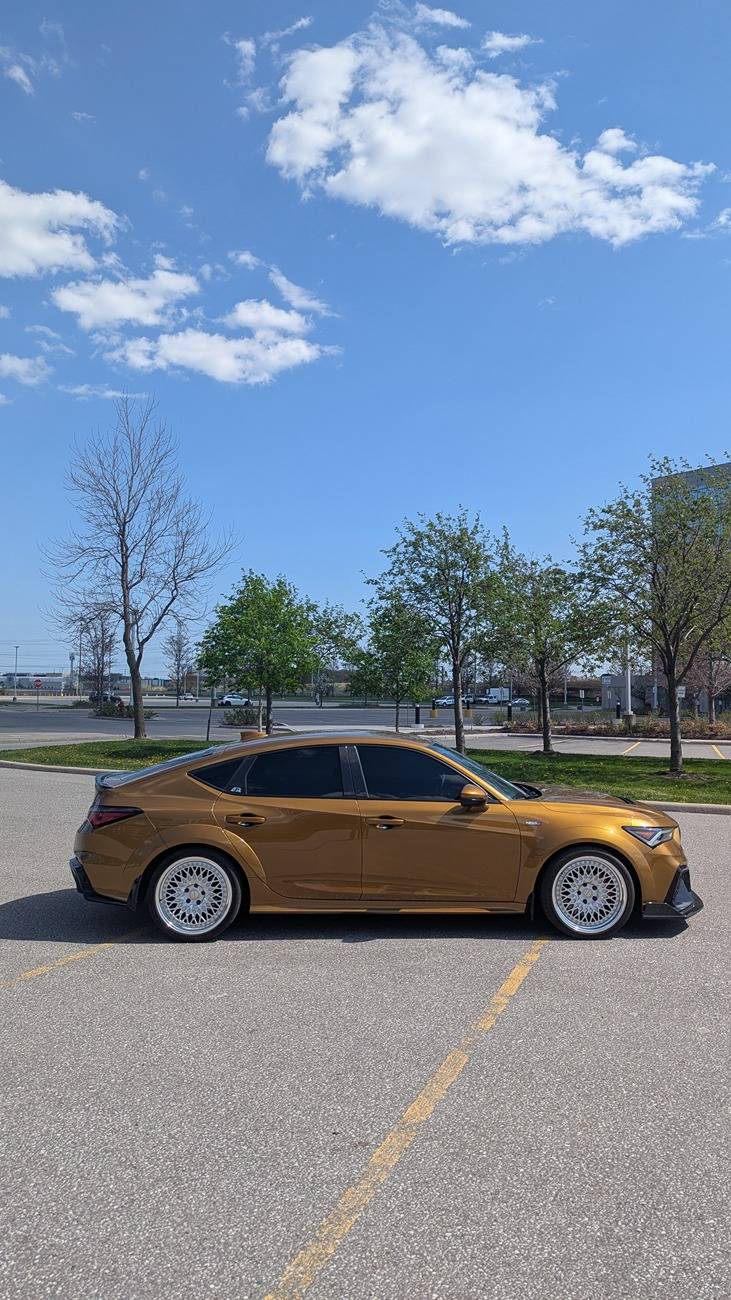 Acura Integra 1to_TypeS - Tiger Eye Pearl (TEP) build 1000197532