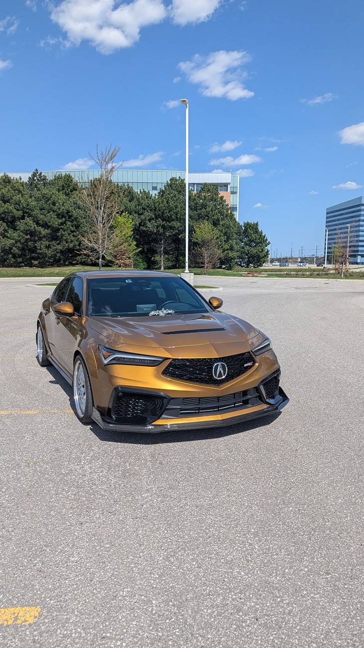 Acura Integra 1to_TypeS - Tiger Eye Pearl (TEP) build 1000197539